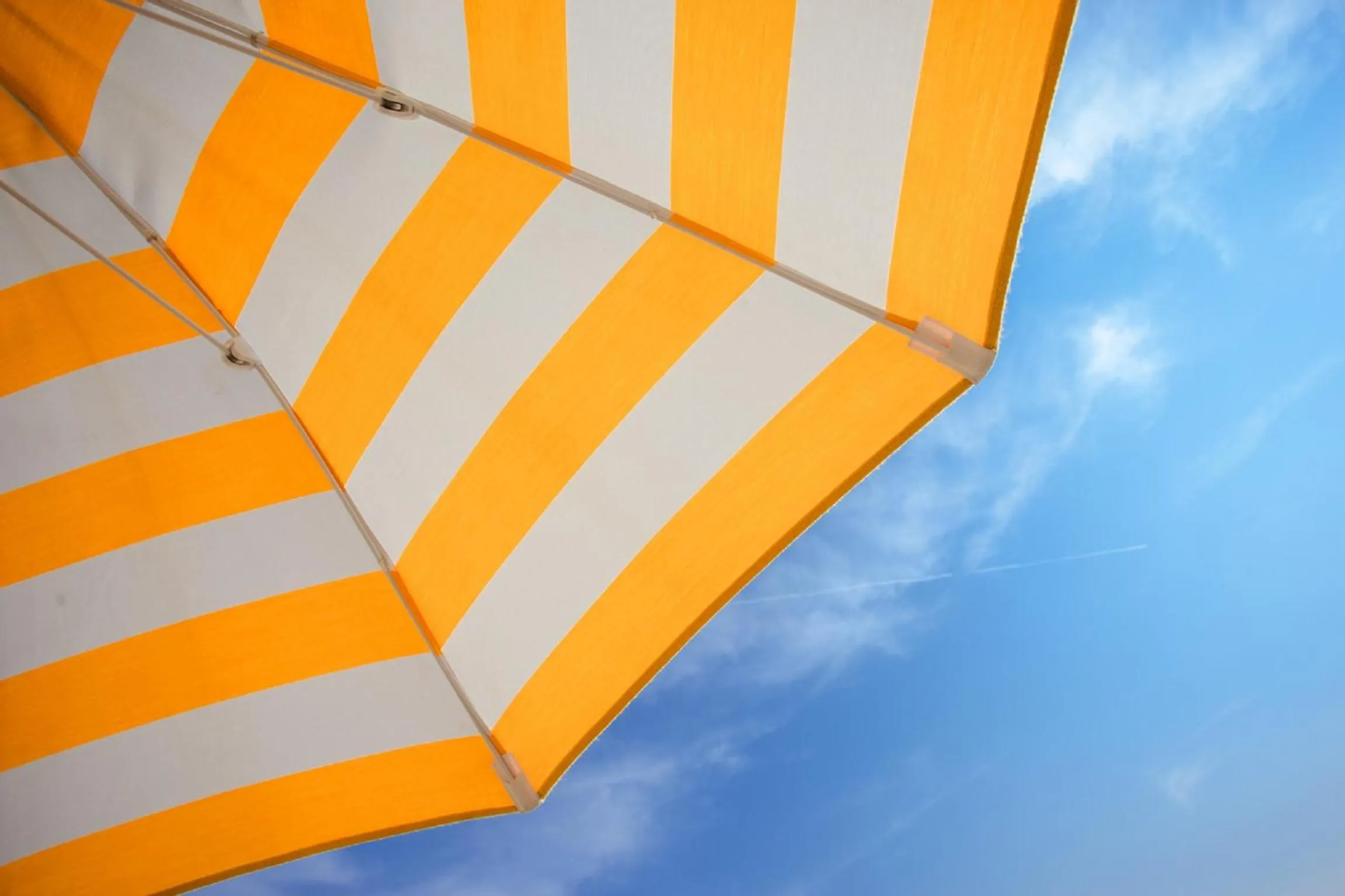 Decorative detail in Hotel Speranza