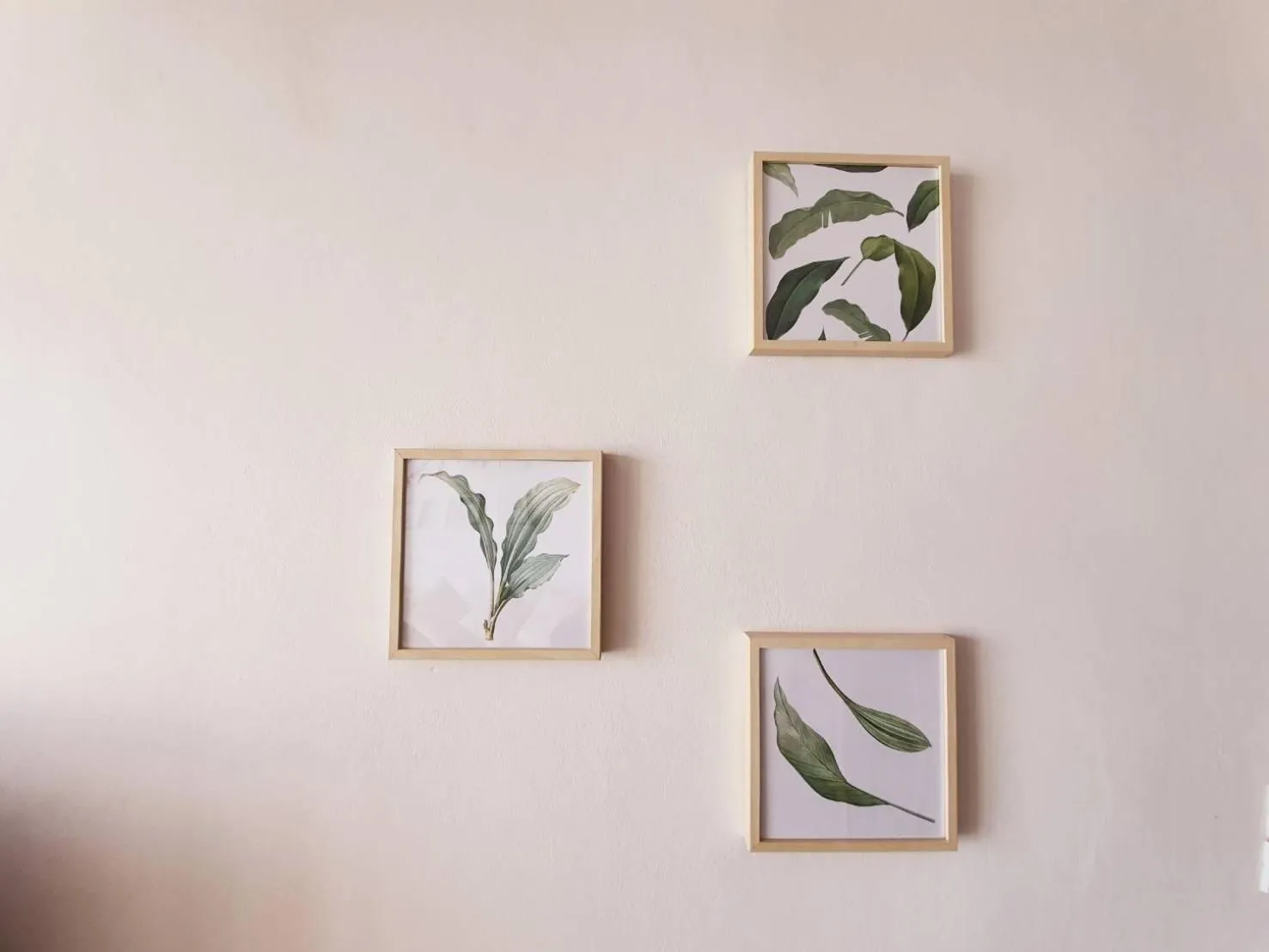 Decorative detail in De' Anchor