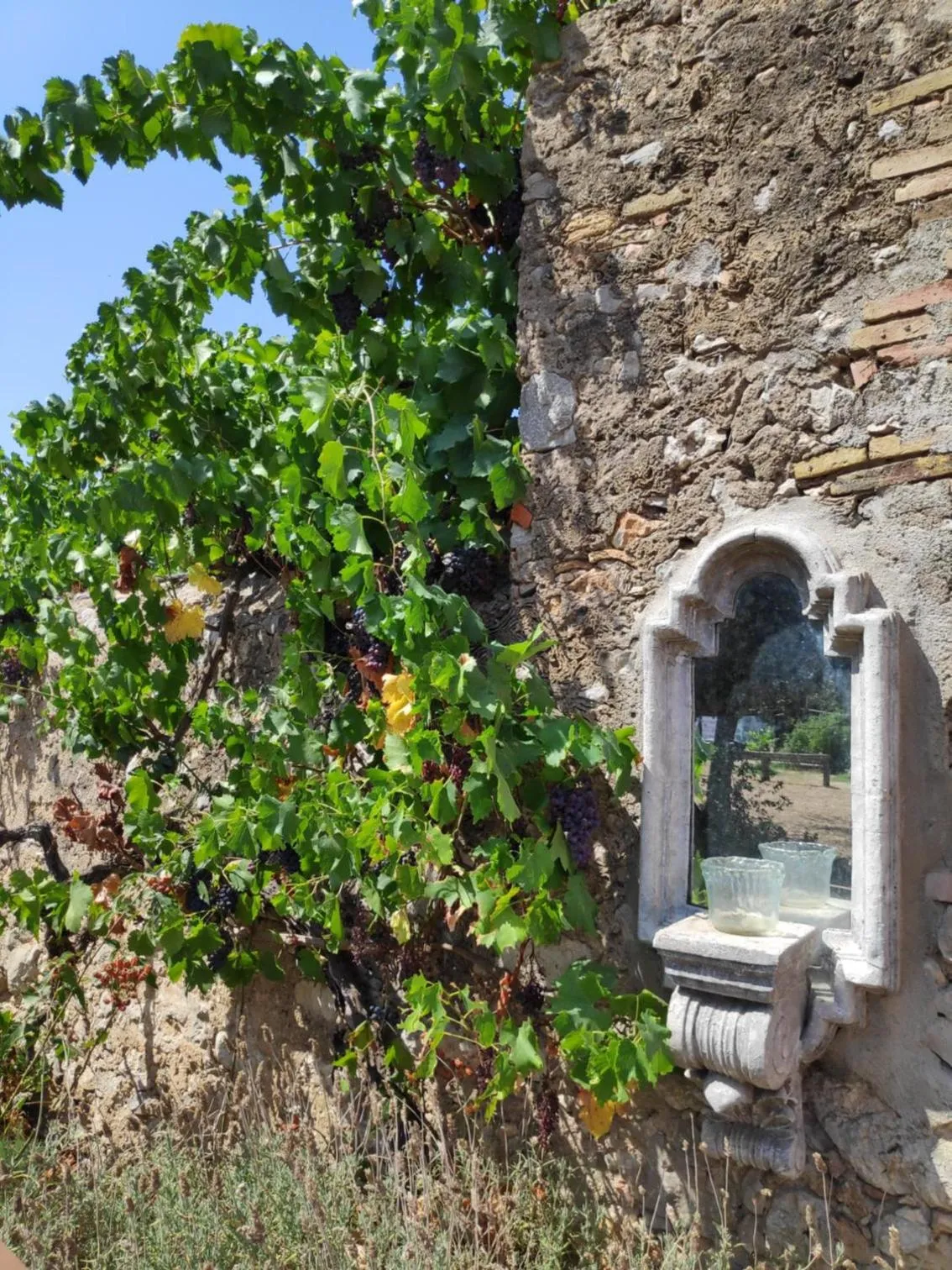 Garden in Mas Del Llop Blanc - Dog friendly Hostal Rural - B&B