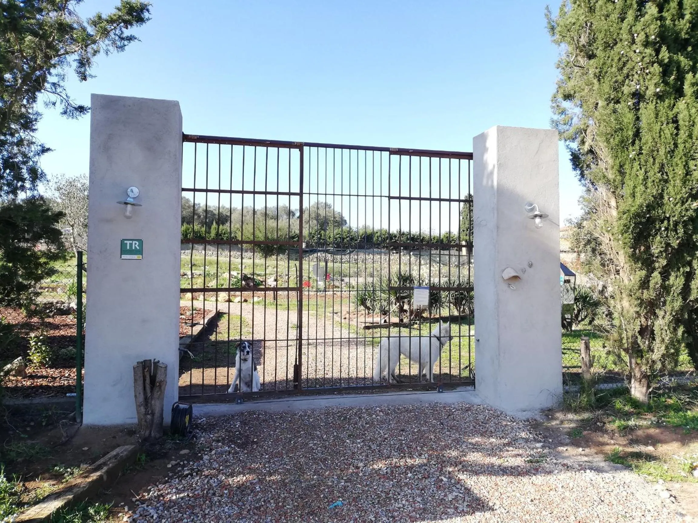 Pets in Mas Del Llop Blanc - Dog friendly Hostal Rural - B&B