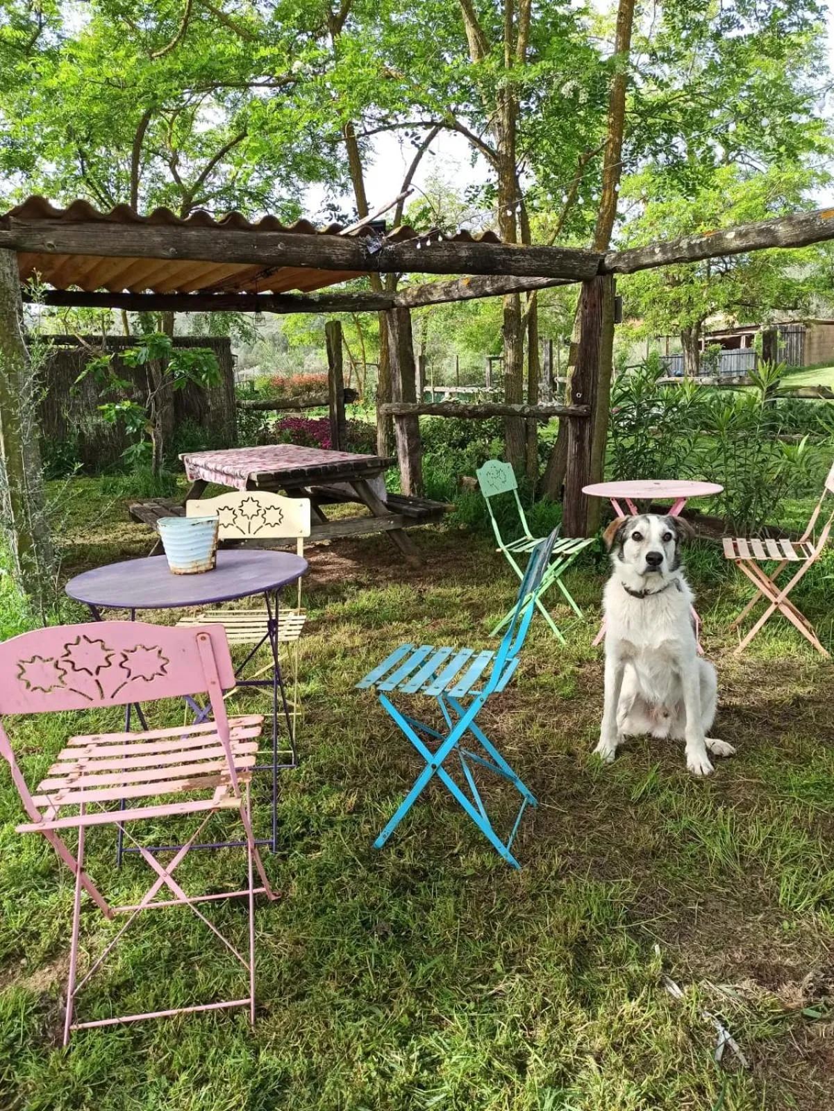 Entertainment in Mas Del Llop Blanc - Dog friendly Hostal Rural - B&B