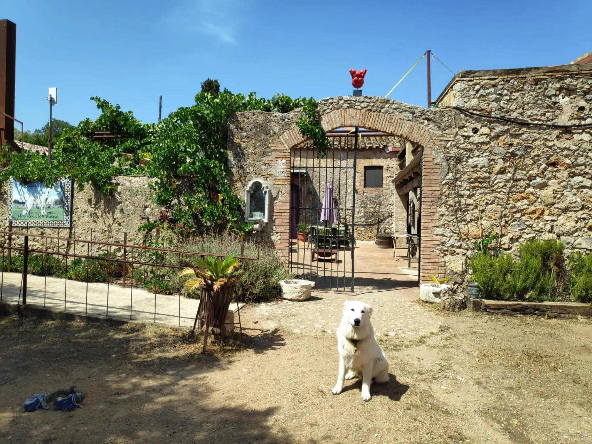 Property building in Mas Del Llop Blanc - Dog friendly Hostal Rural - B&B