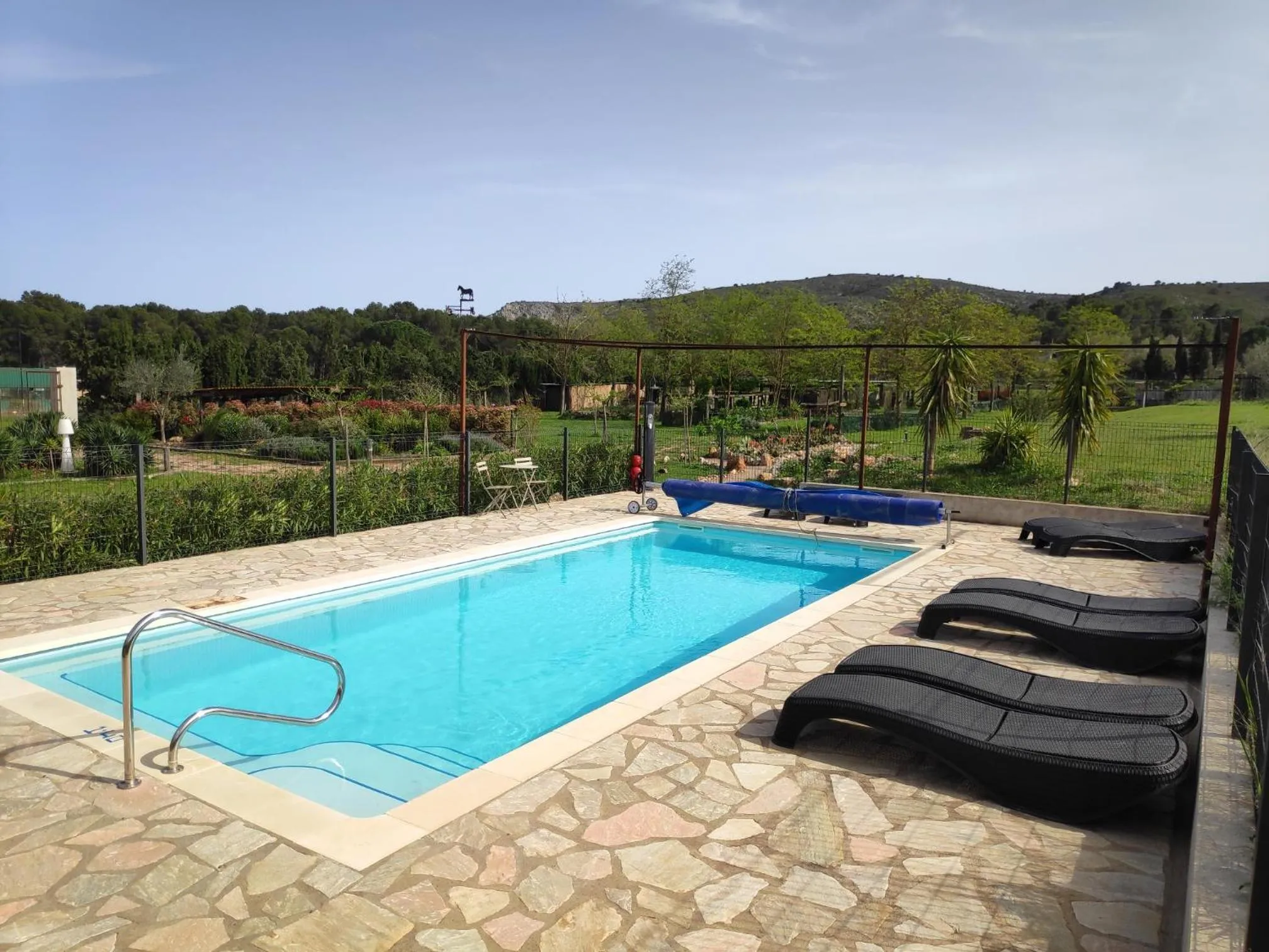 Swimming pool in Mas Del Llop Blanc - Dog friendly Hostal Rural - B&B