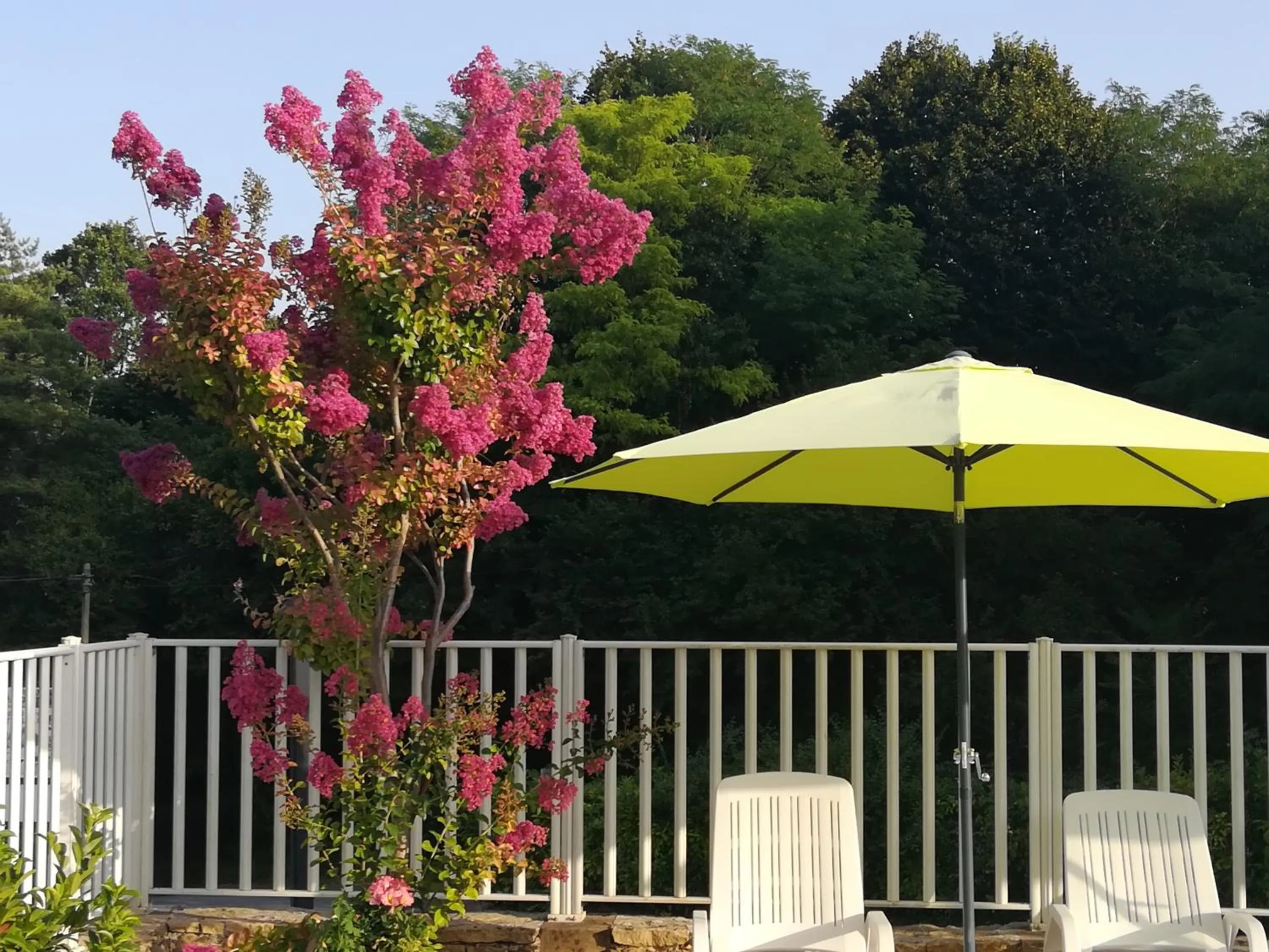 Swimming pool in Les Chalets d'Argentouleau