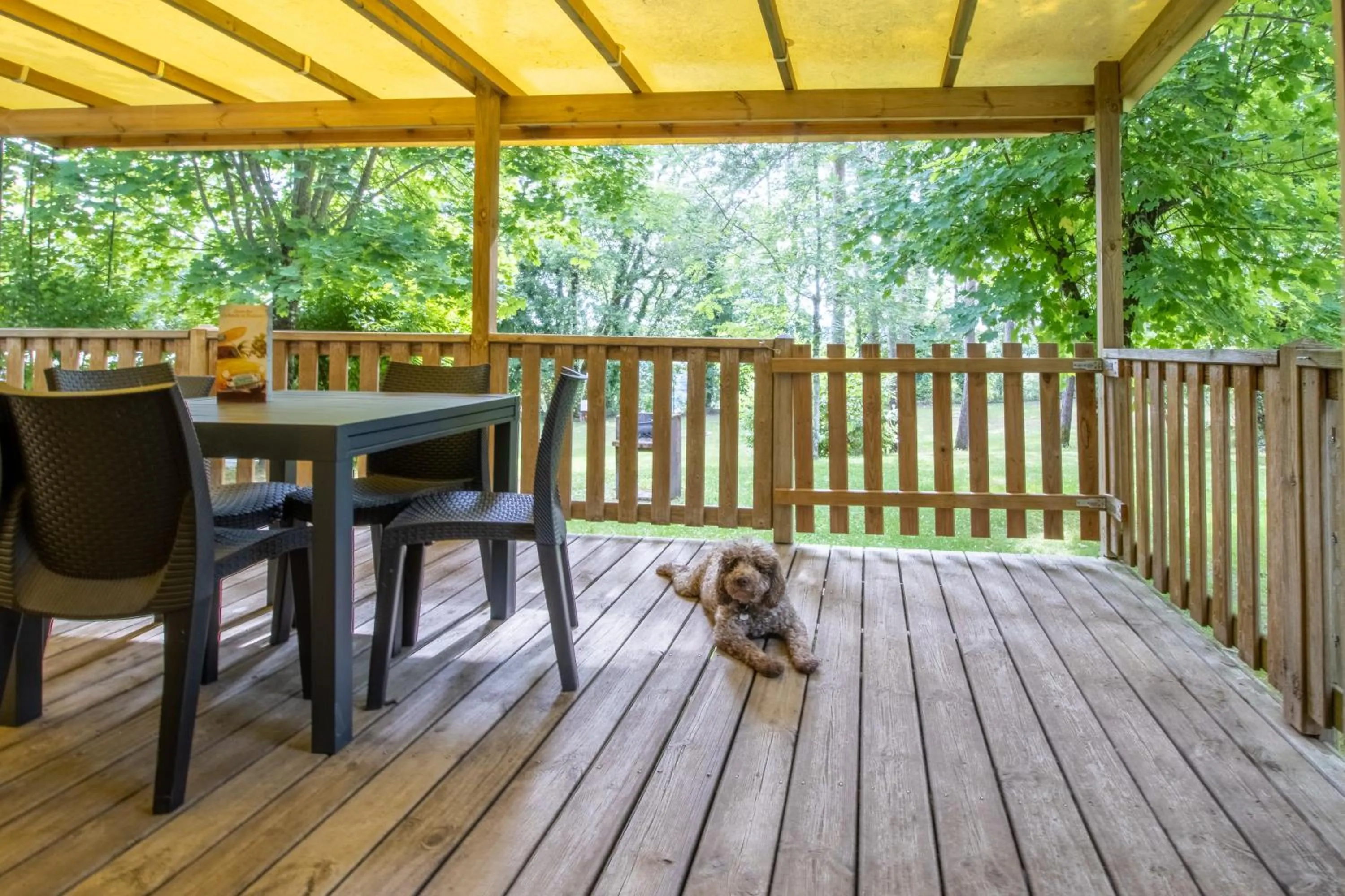 Balcony/Terrace in Les Chalets d'Argentouleau