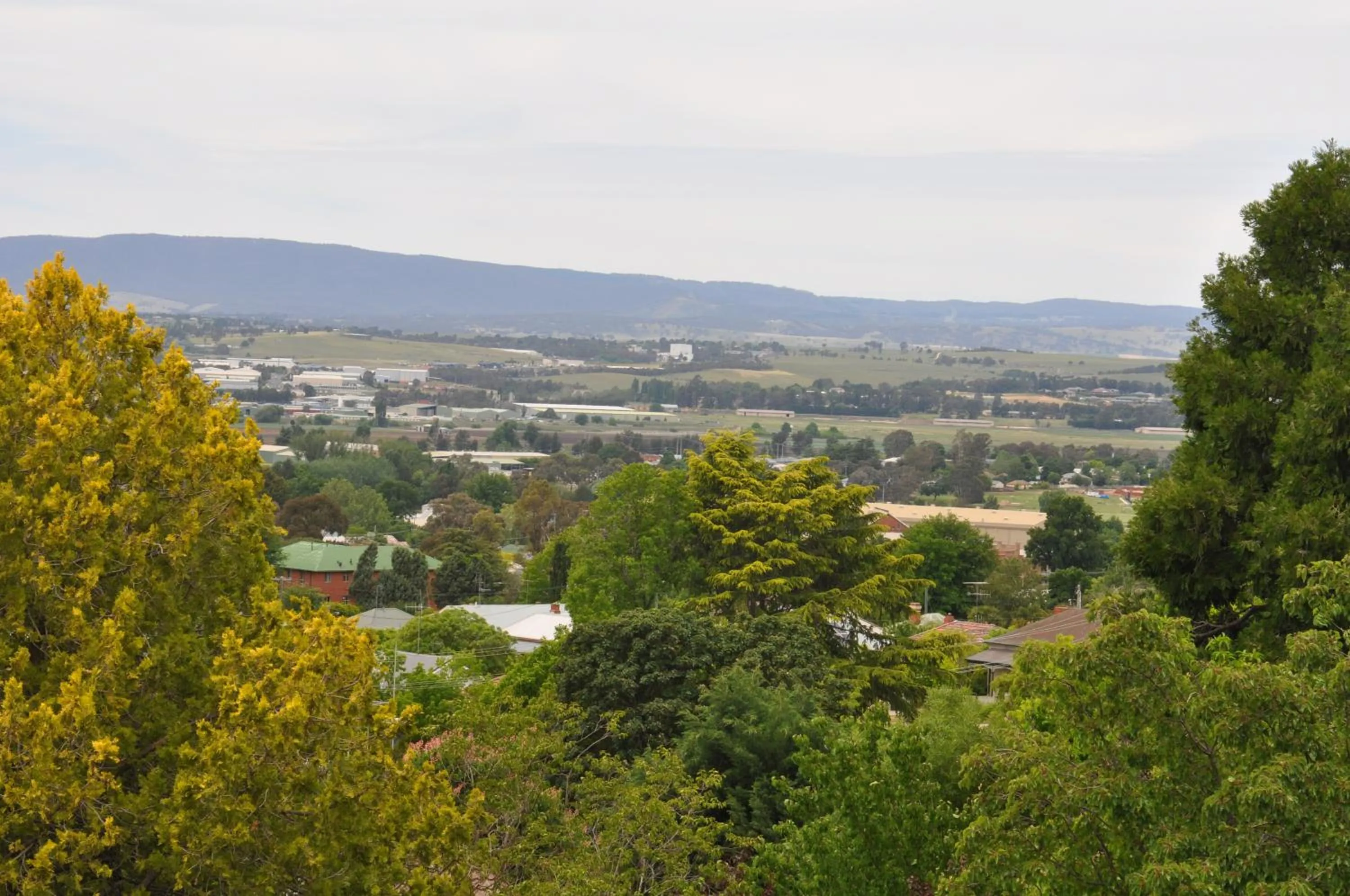 Holmhurst Guest House