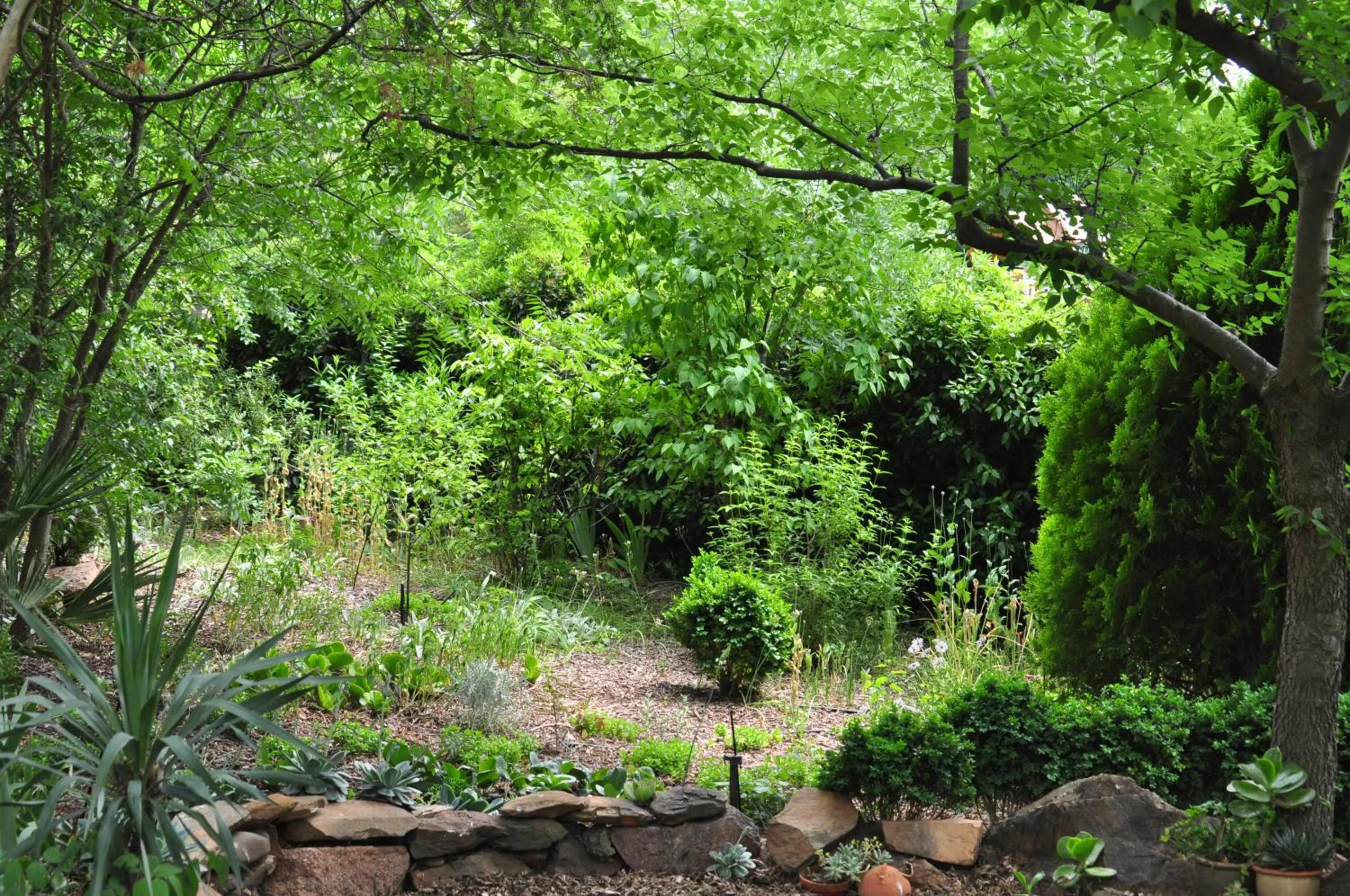 Holmhurst Guest House