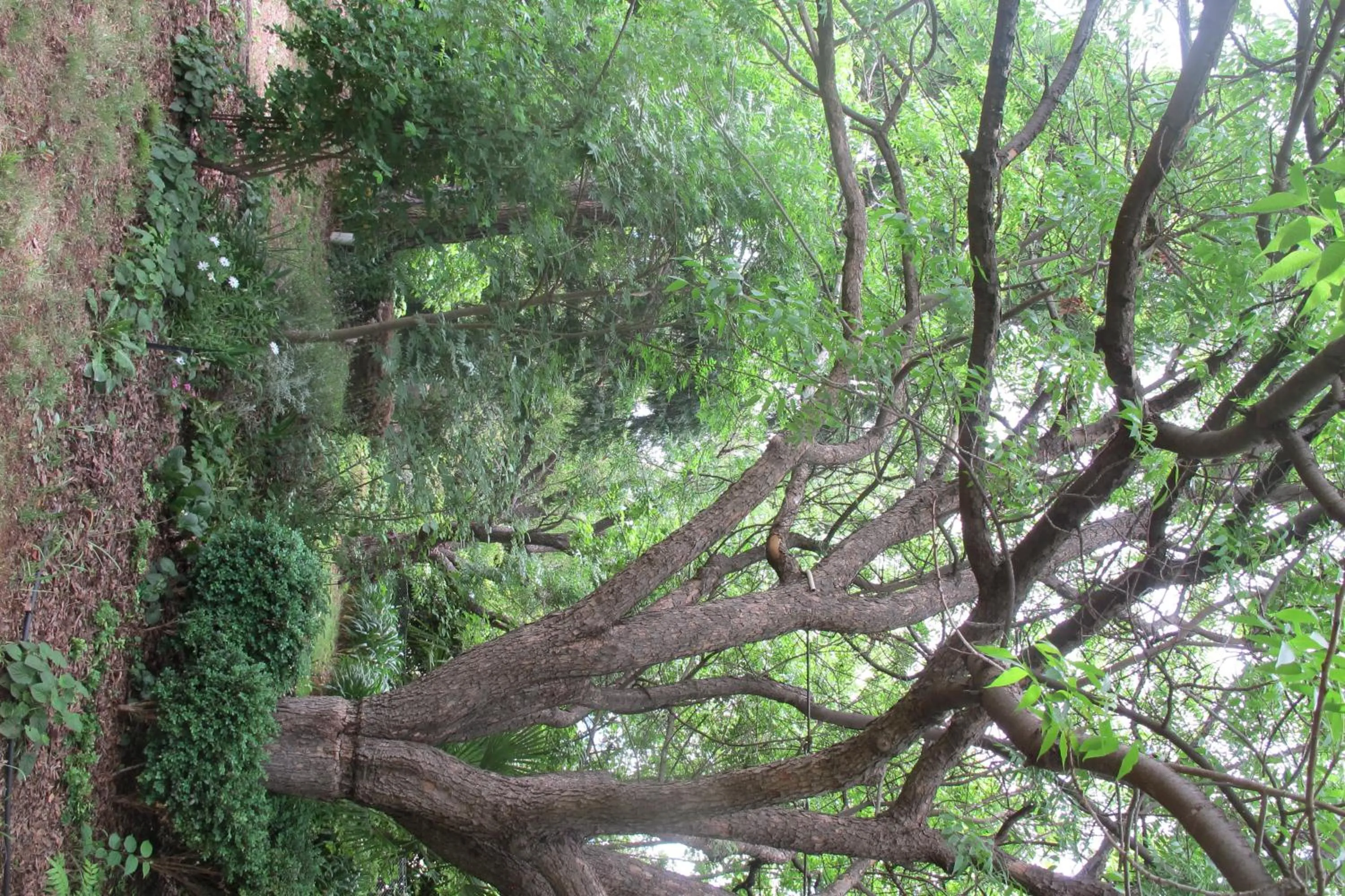 Holmhurst Guest House