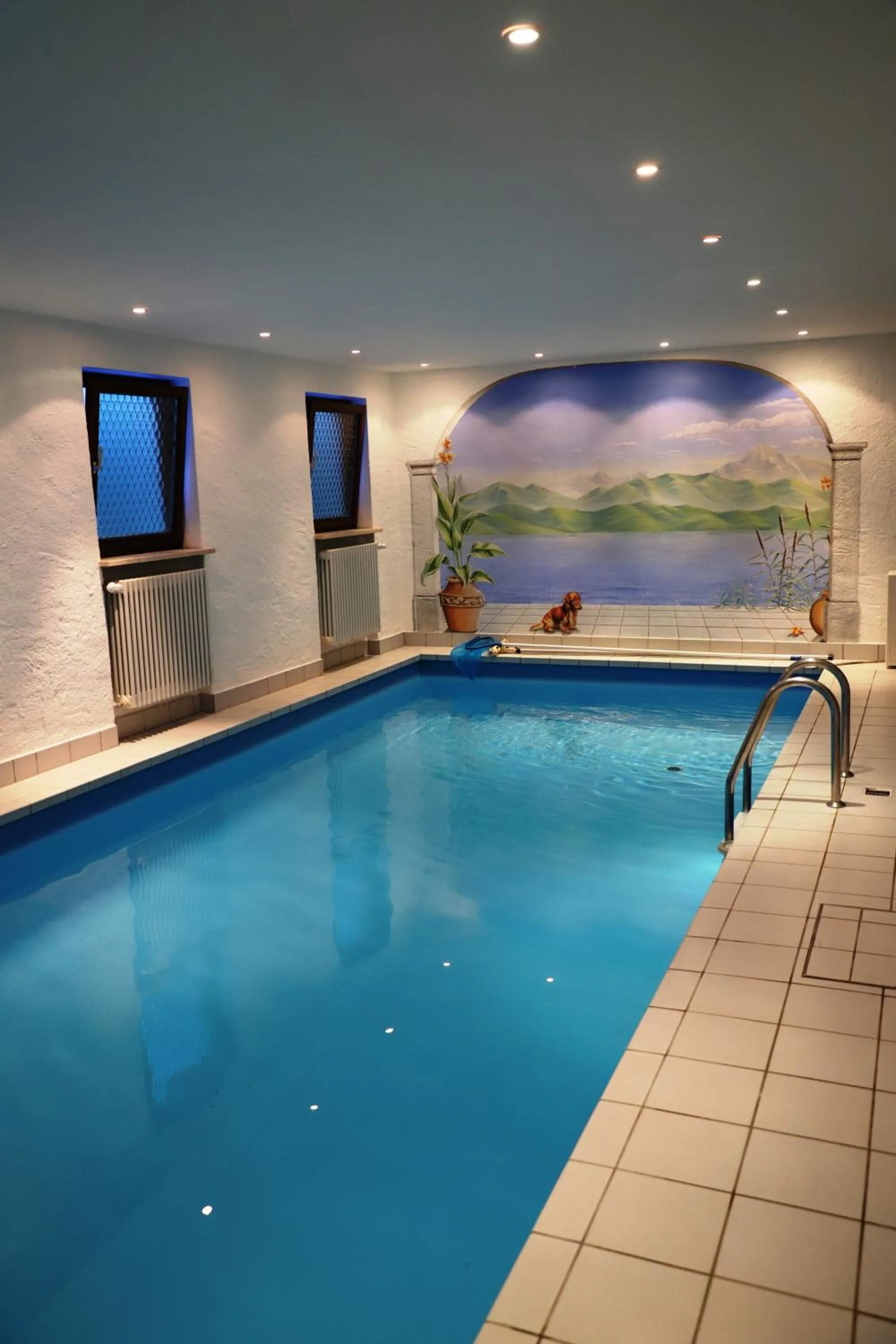 Swimming pool in Hotel Effland -Sauna -Pool