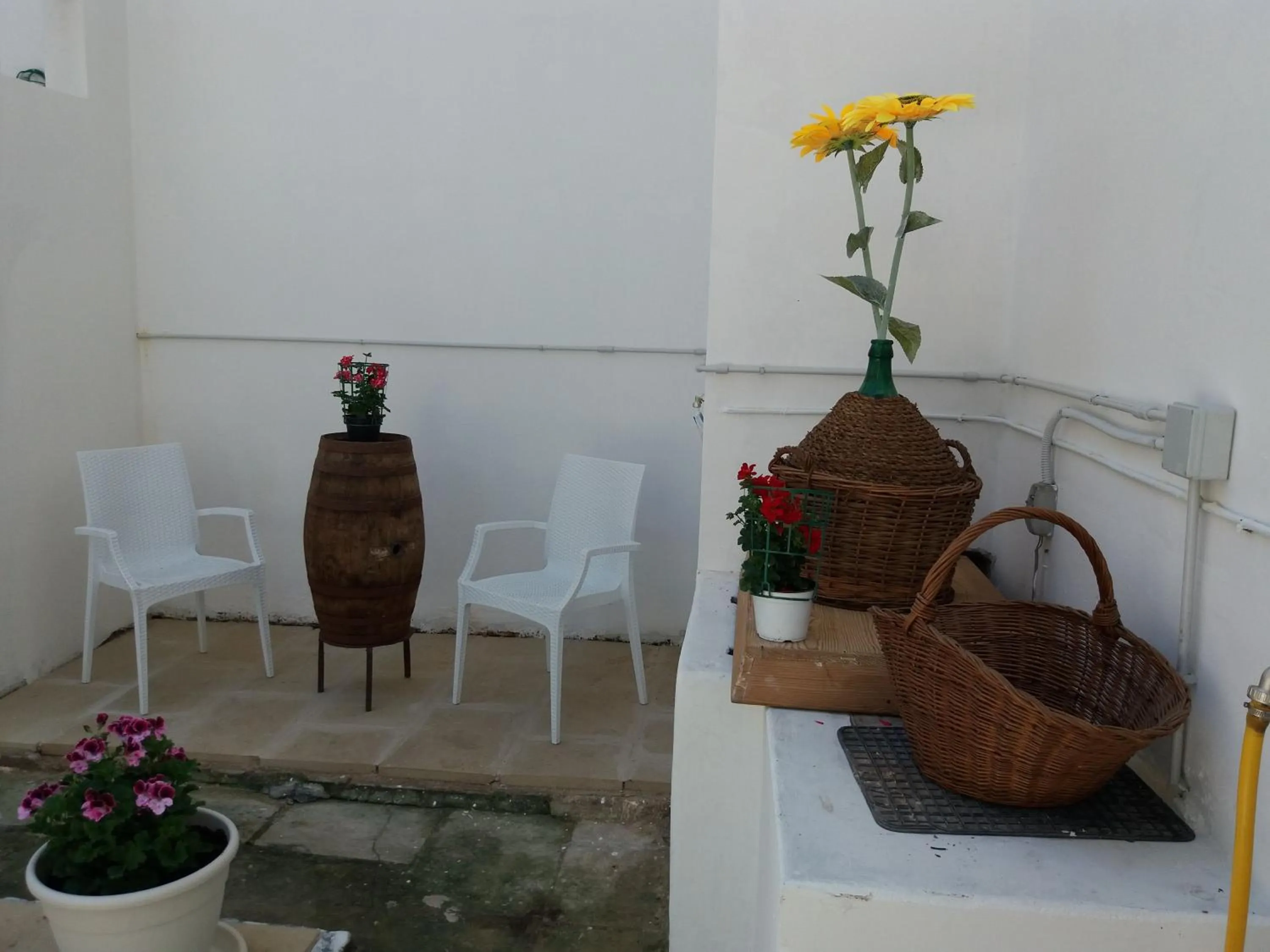 Garden in Antico Palazzo Spinola