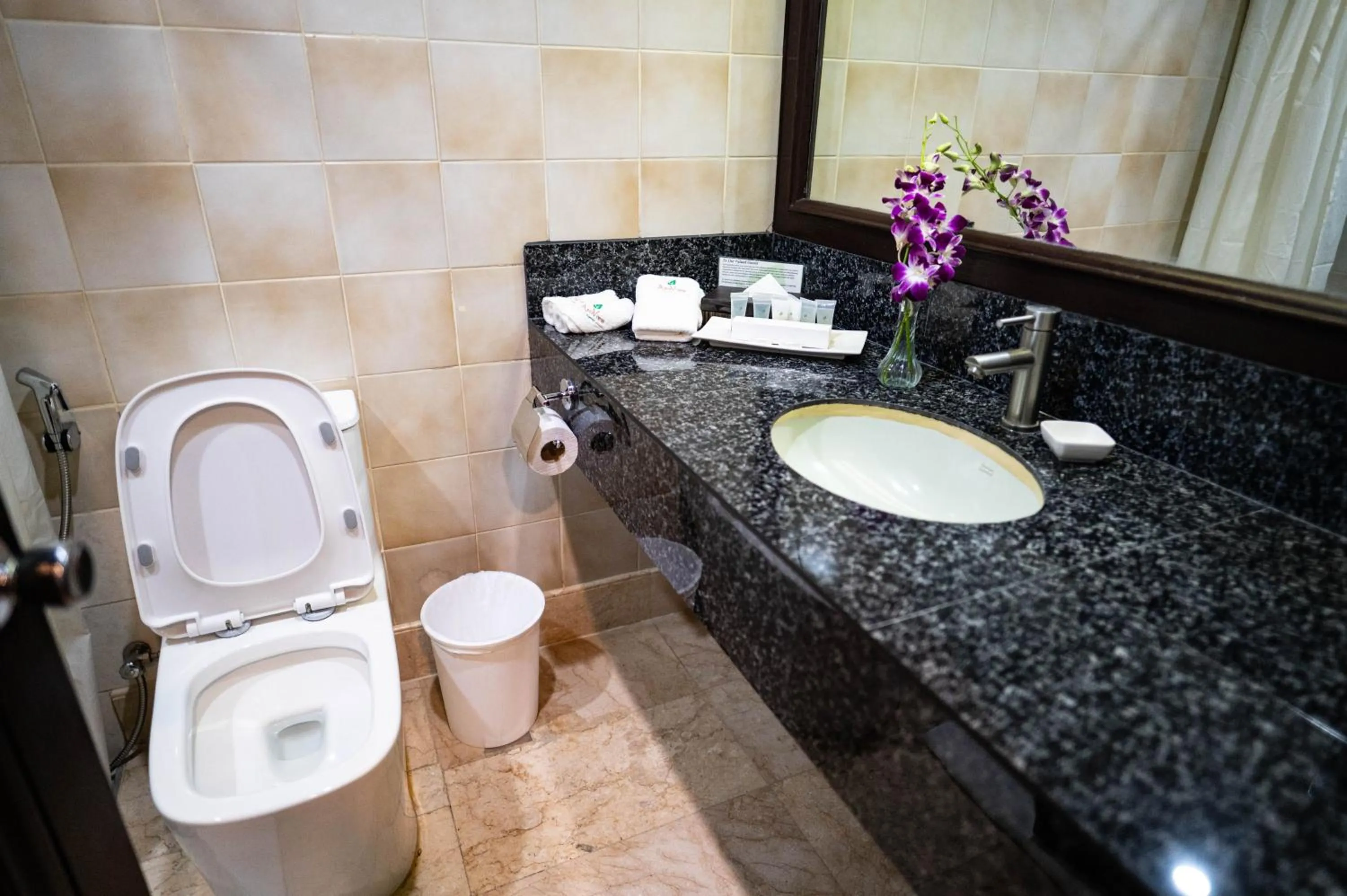 Bathroom in The Apo View Hotel