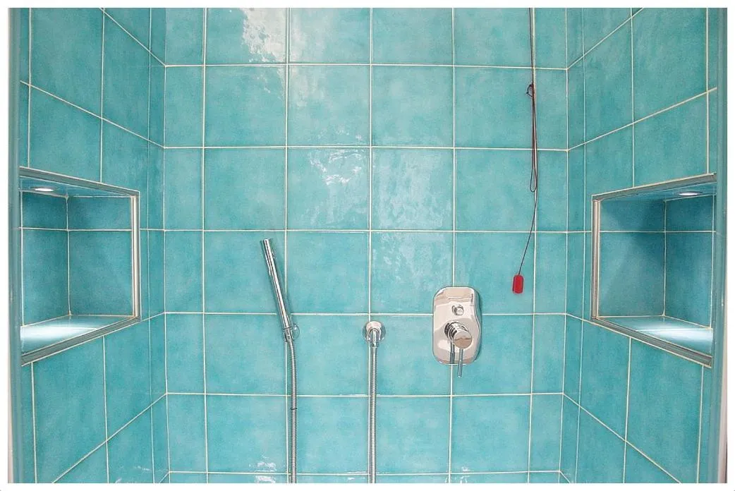 Shower in Hotel Dante