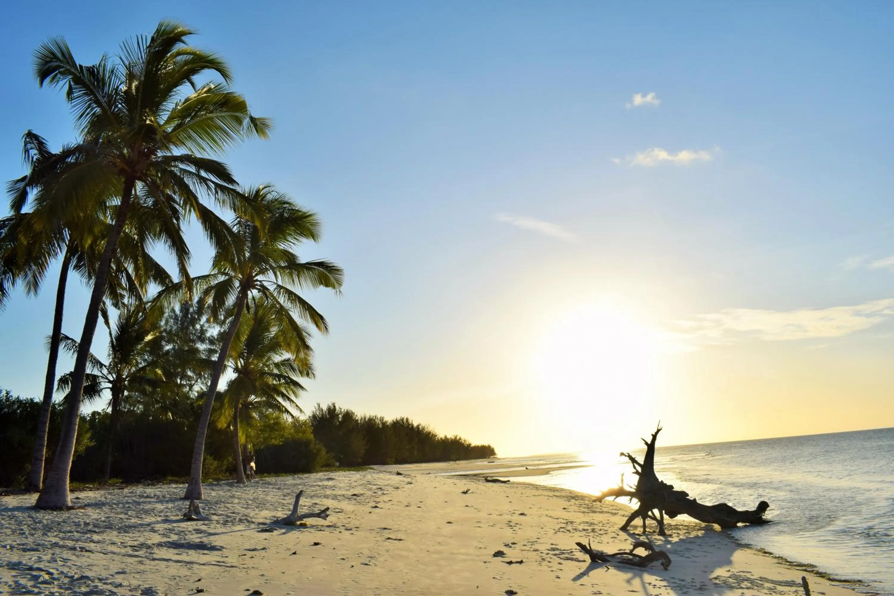 Juani beach bungalows