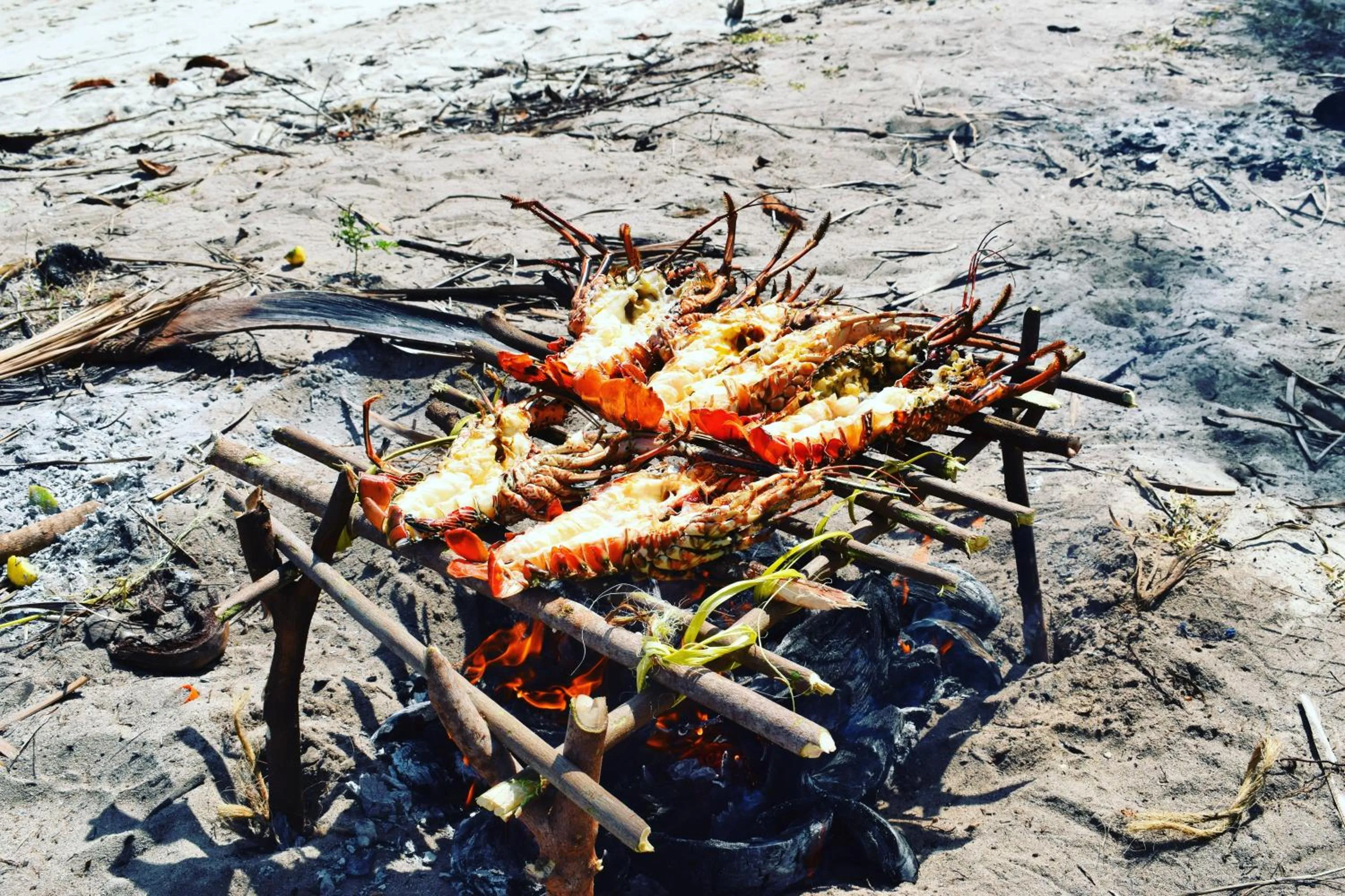 Juani beach bungalows