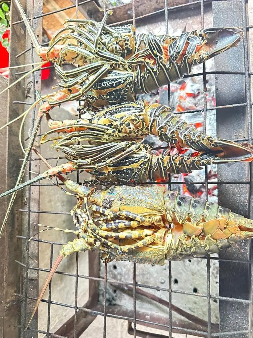 Juani beach bungalows