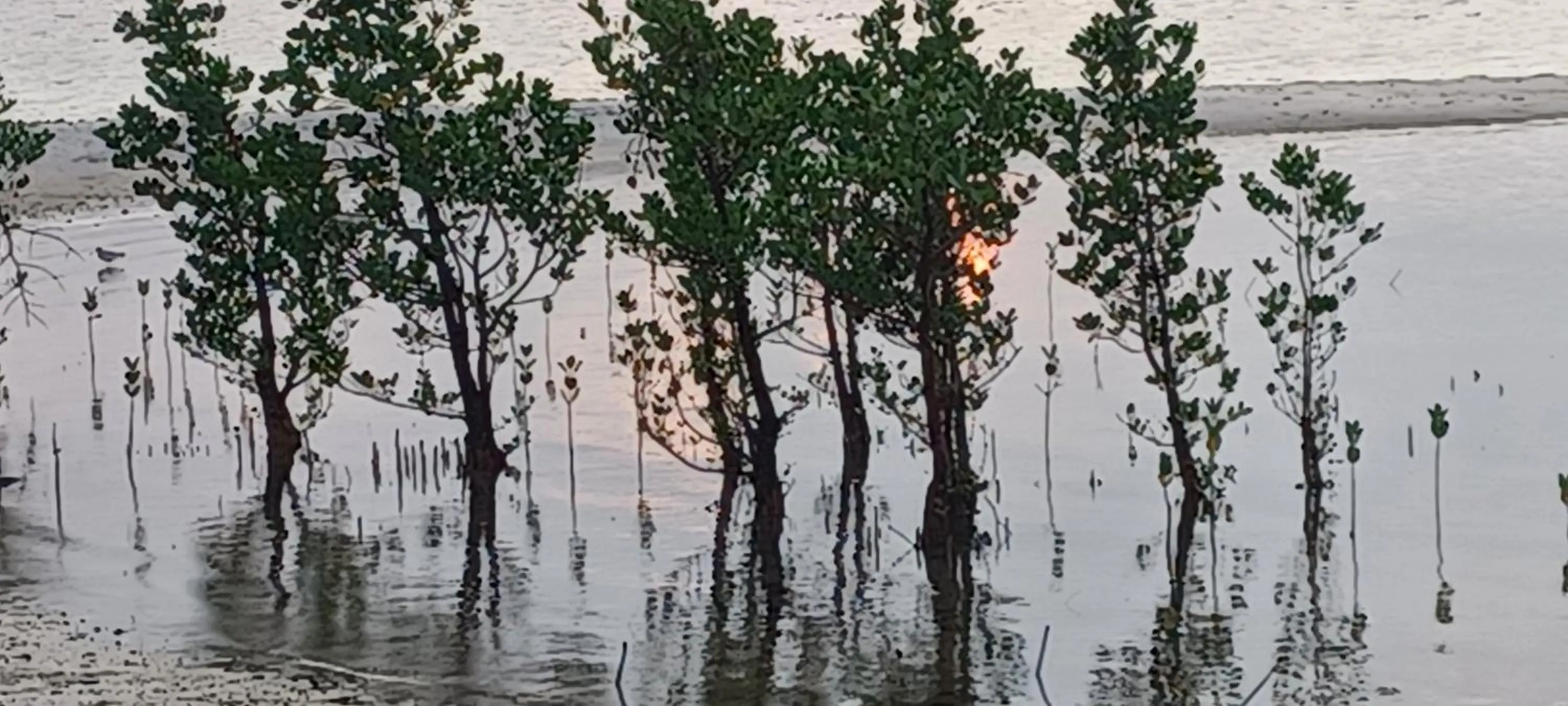 Juani beach bungalows