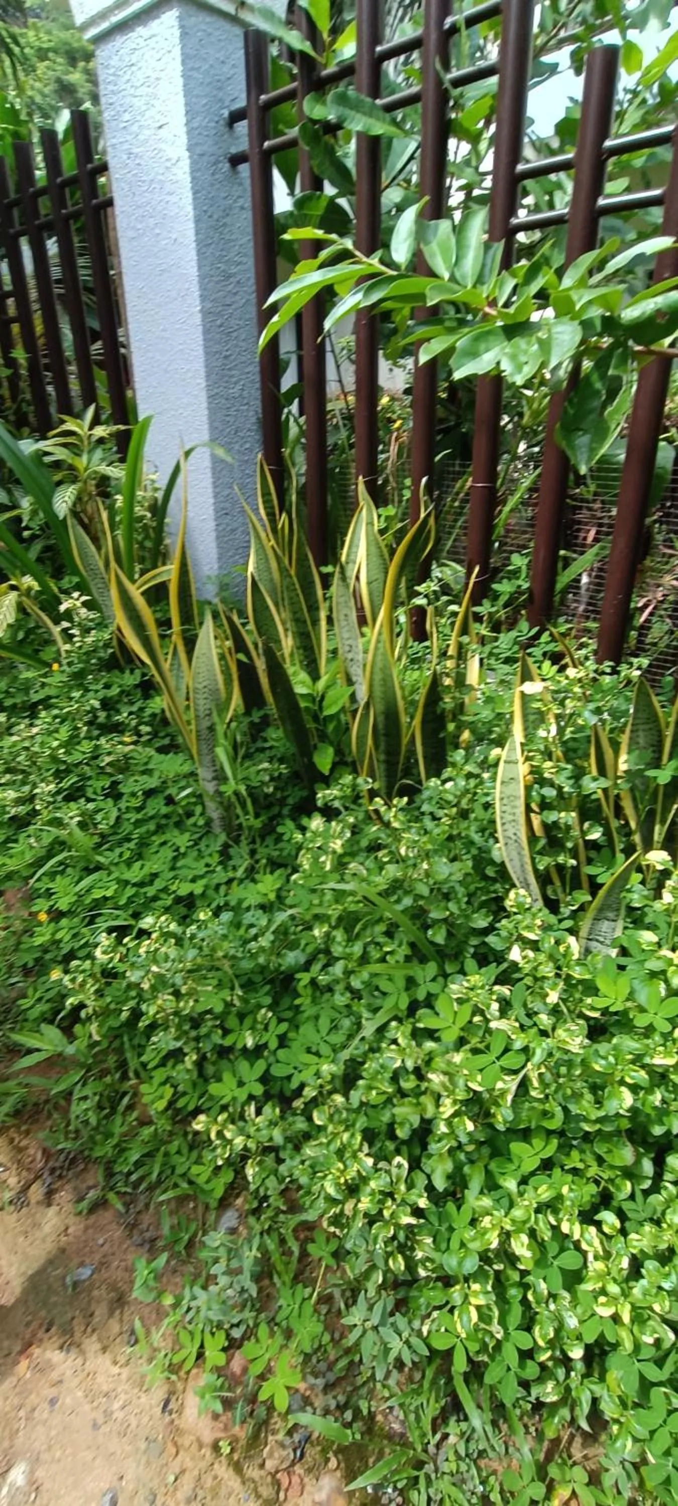 Other in Layang Layang Home