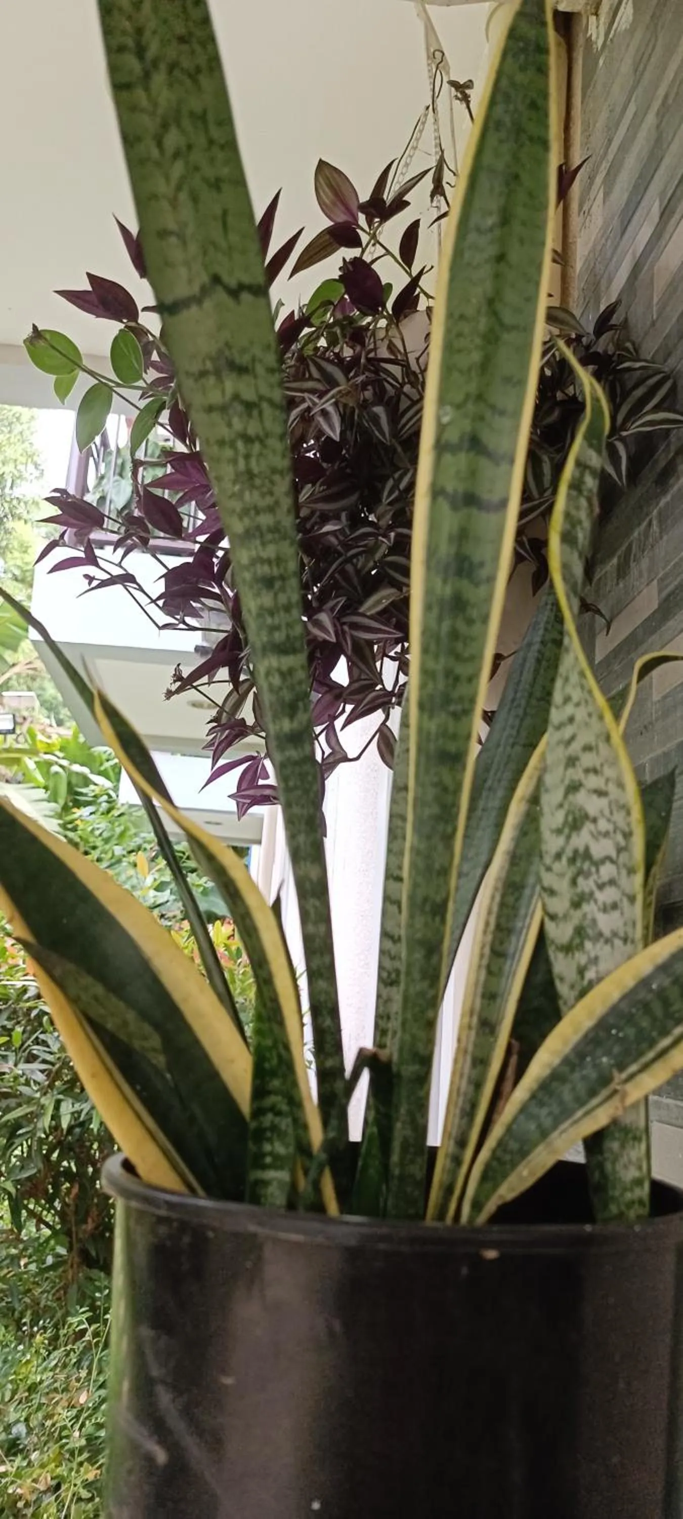 Facade/entrance in Layang Layang Home