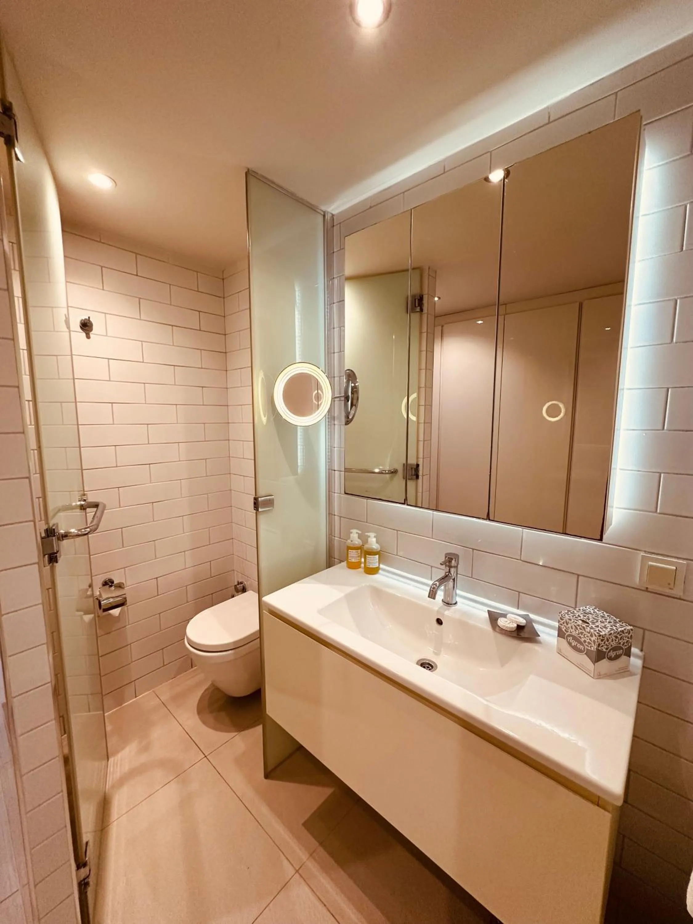 Toilet in Ortakoy Aparts