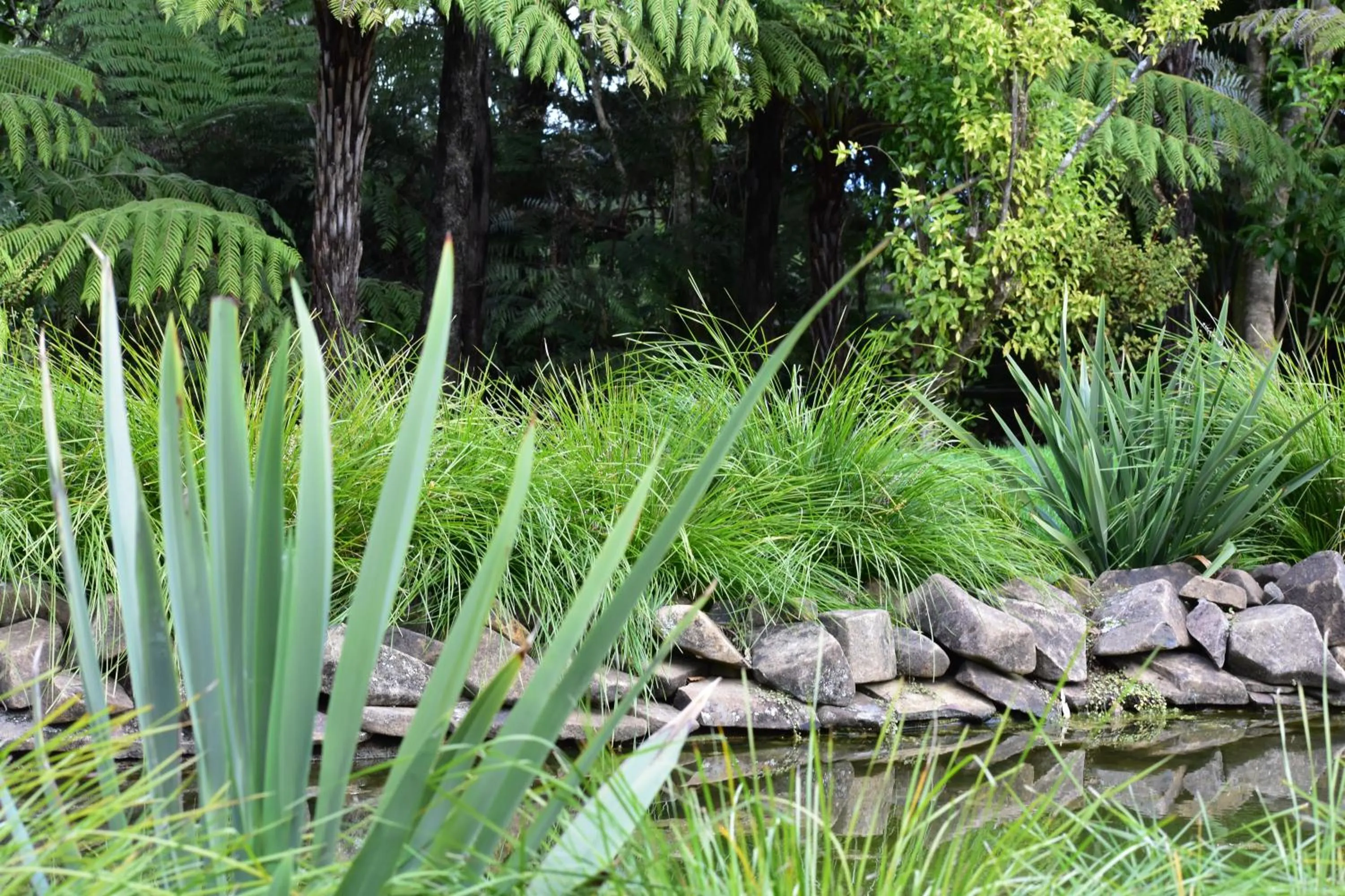 Natural landscape in Atea Lodge