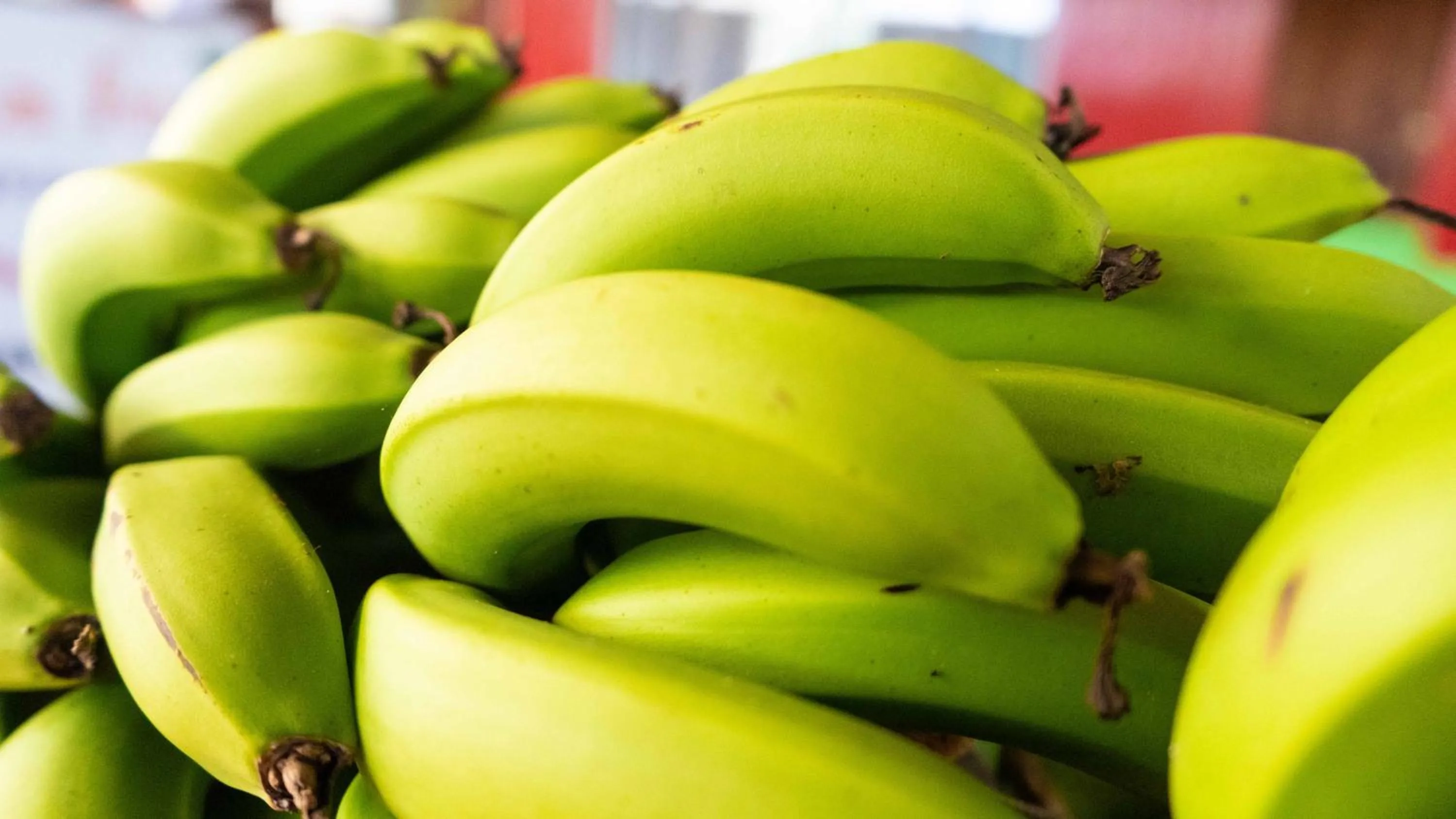 Kaimana Inn Rapa Nui