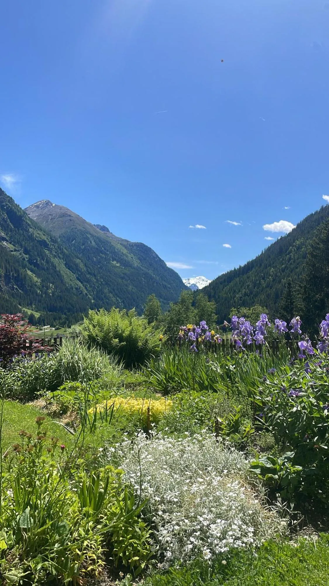 Garden in Apart Sonnenheim