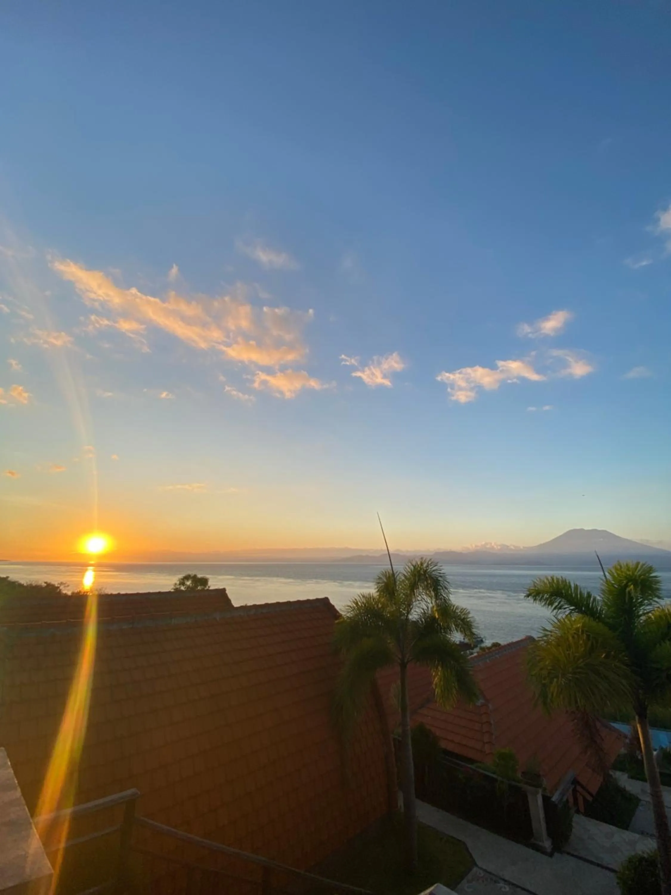 Day in Daphila Cottage