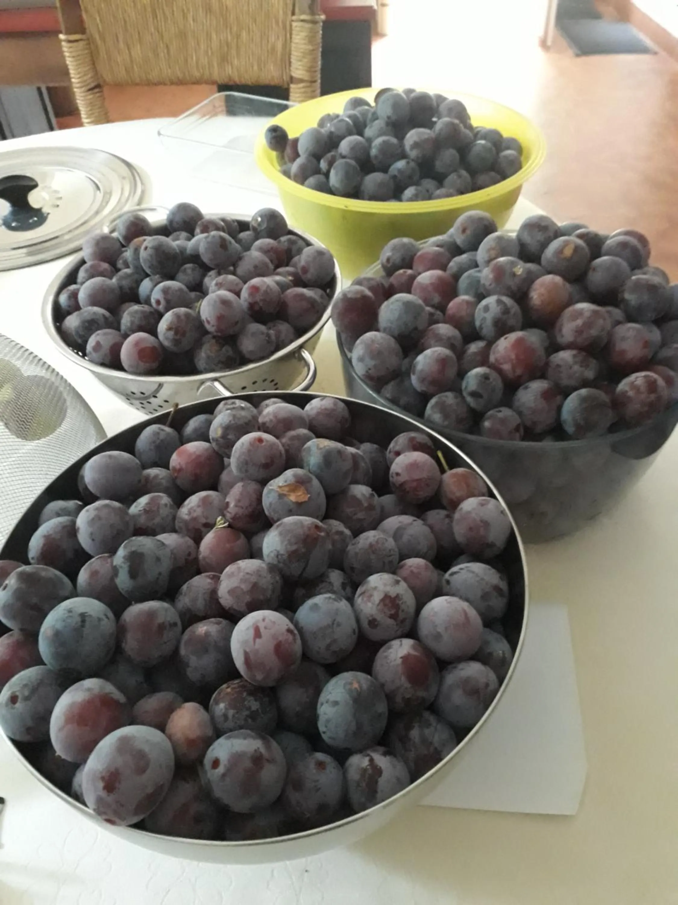 Food and drinks in Le Parc des Aubiers