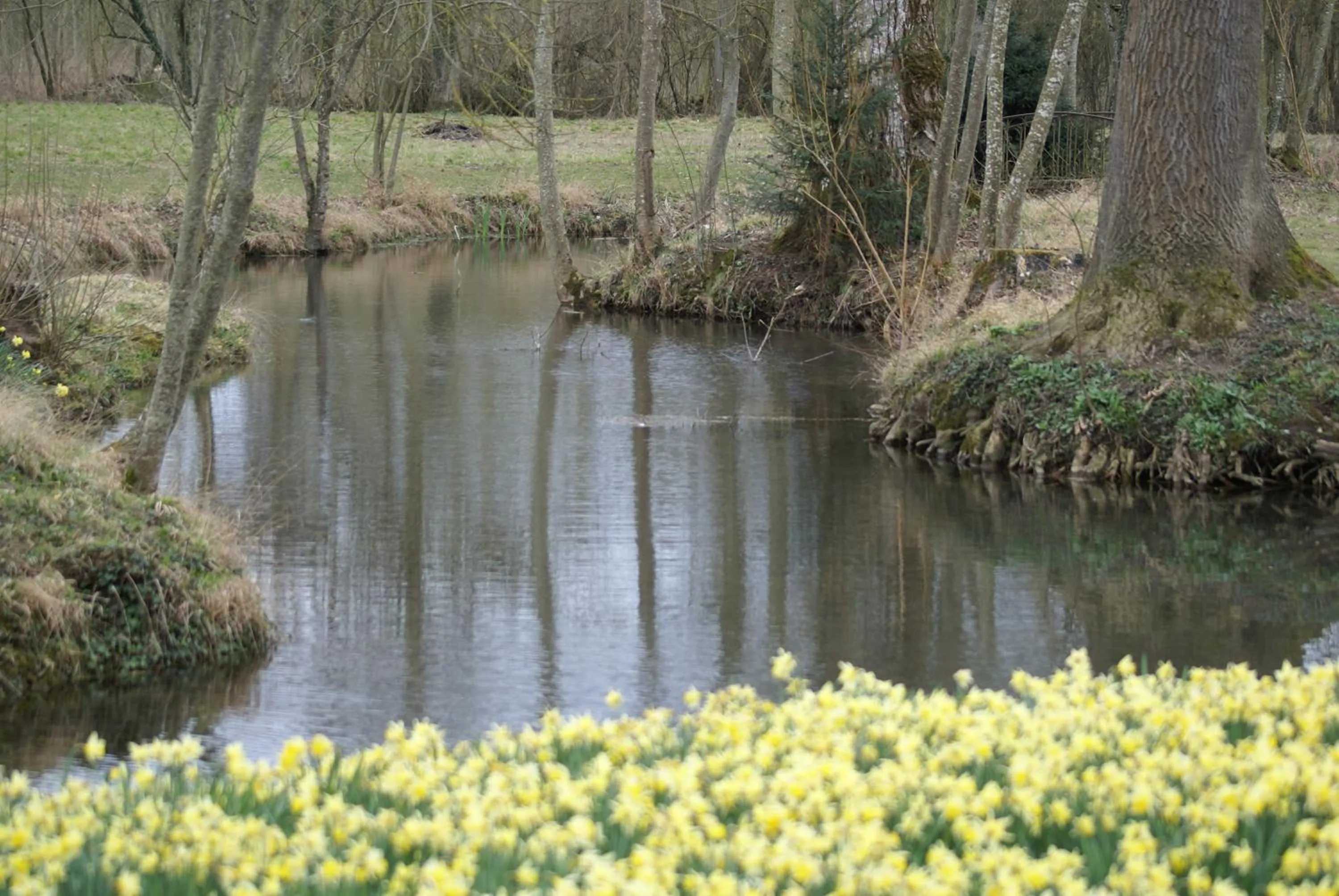 Natural landscape in Le Parc des Aubiers
