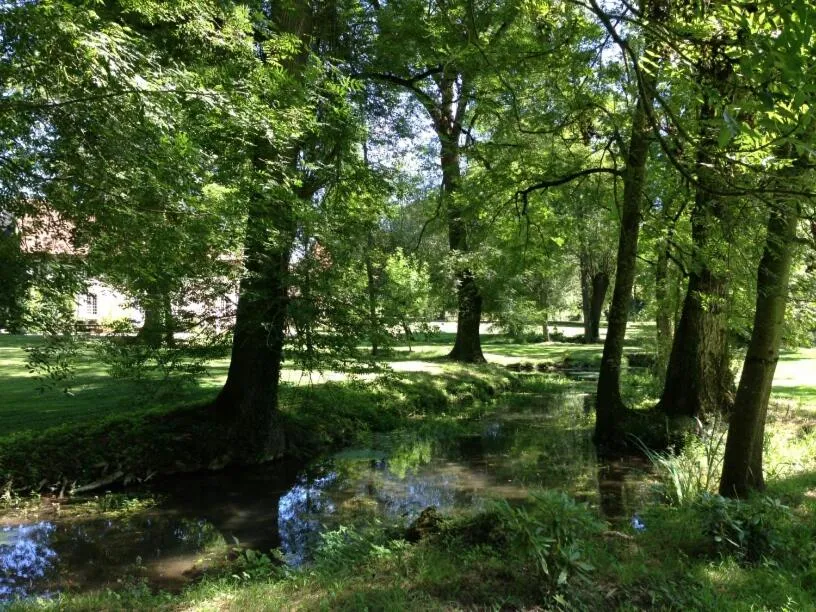 Garden in Le Parc des Aubiers