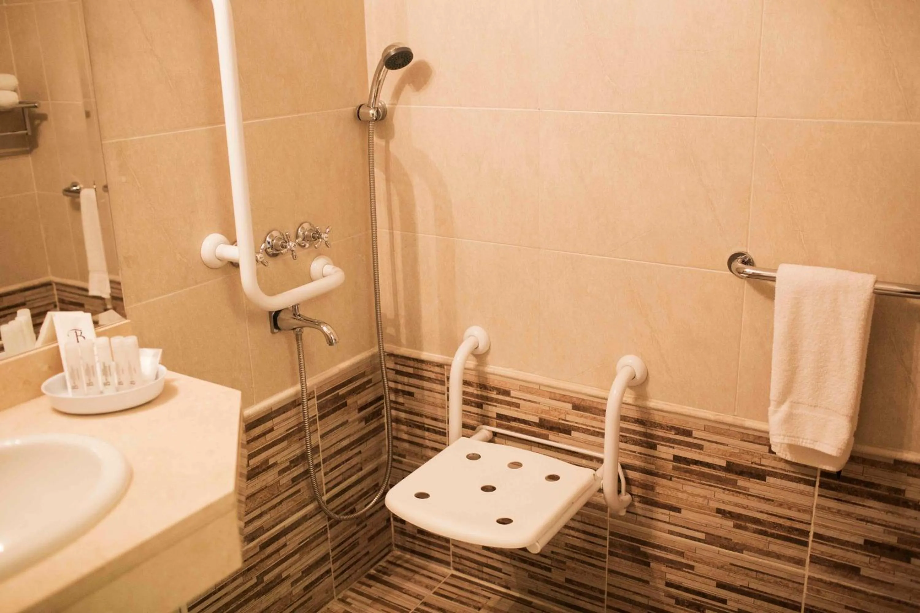 Shower in Hotel Bicentenario Suites & Spa