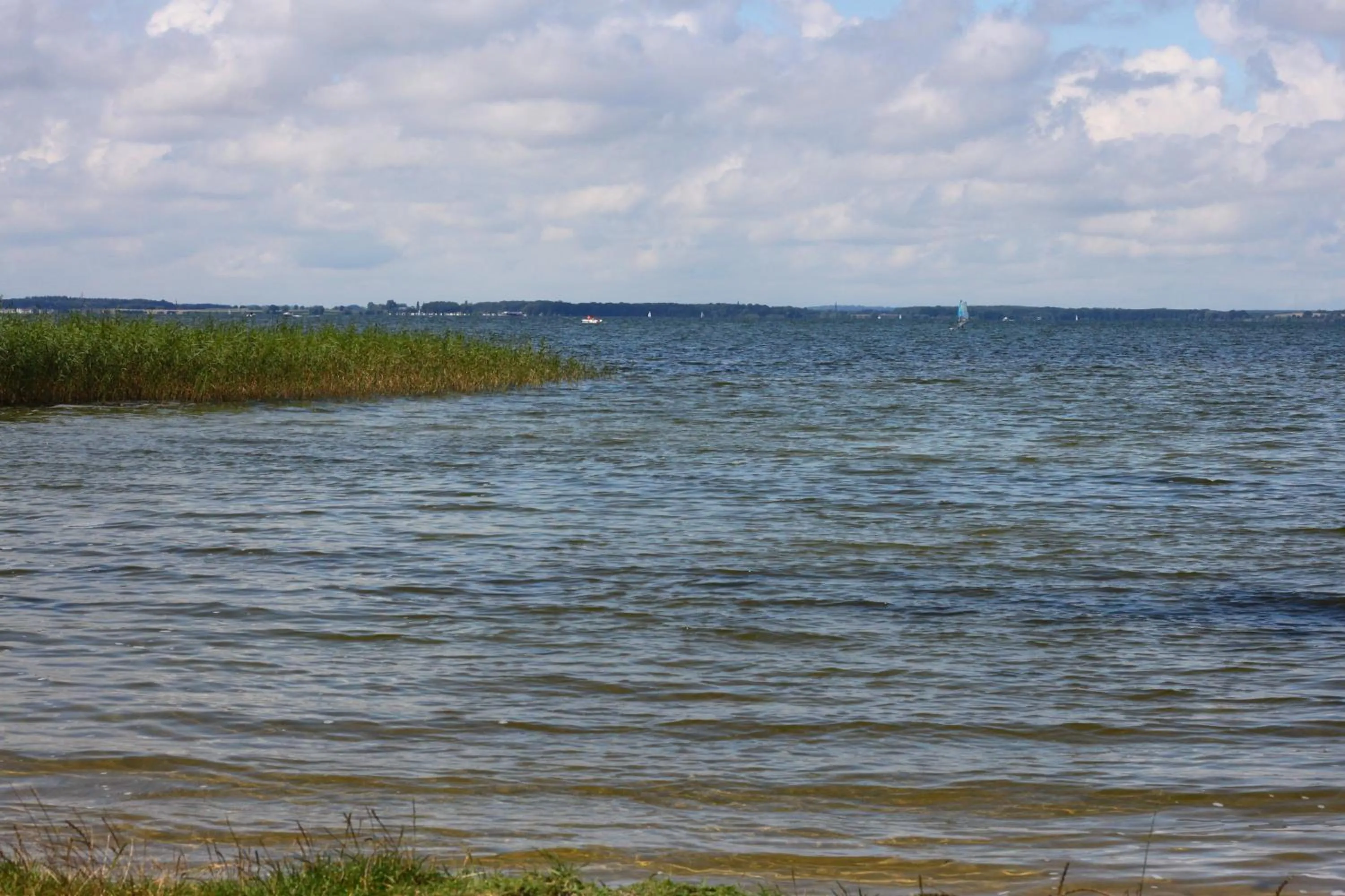 Natural landscape in Hotel Müritz-Park