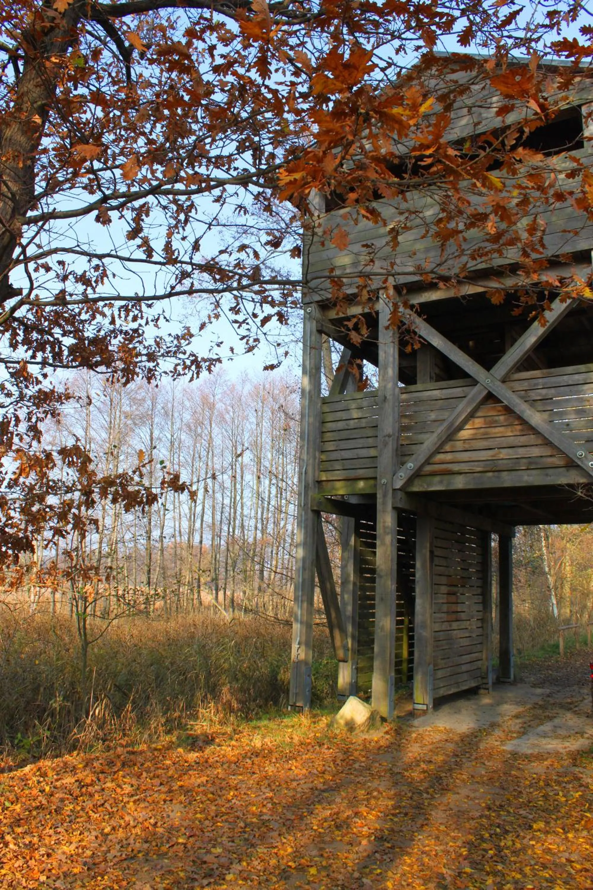 Natural landscape in Hotel Müritz-Park