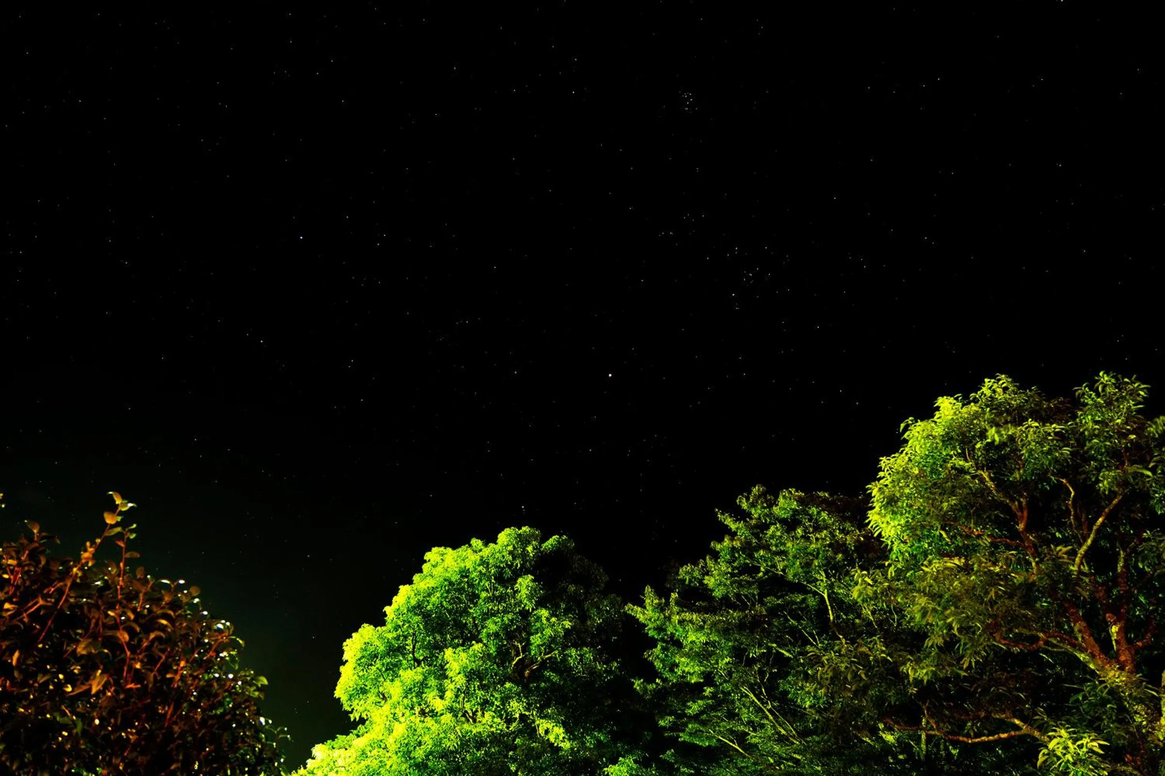 Natural landscape in Hotel Grand Bach Atami Crescendo