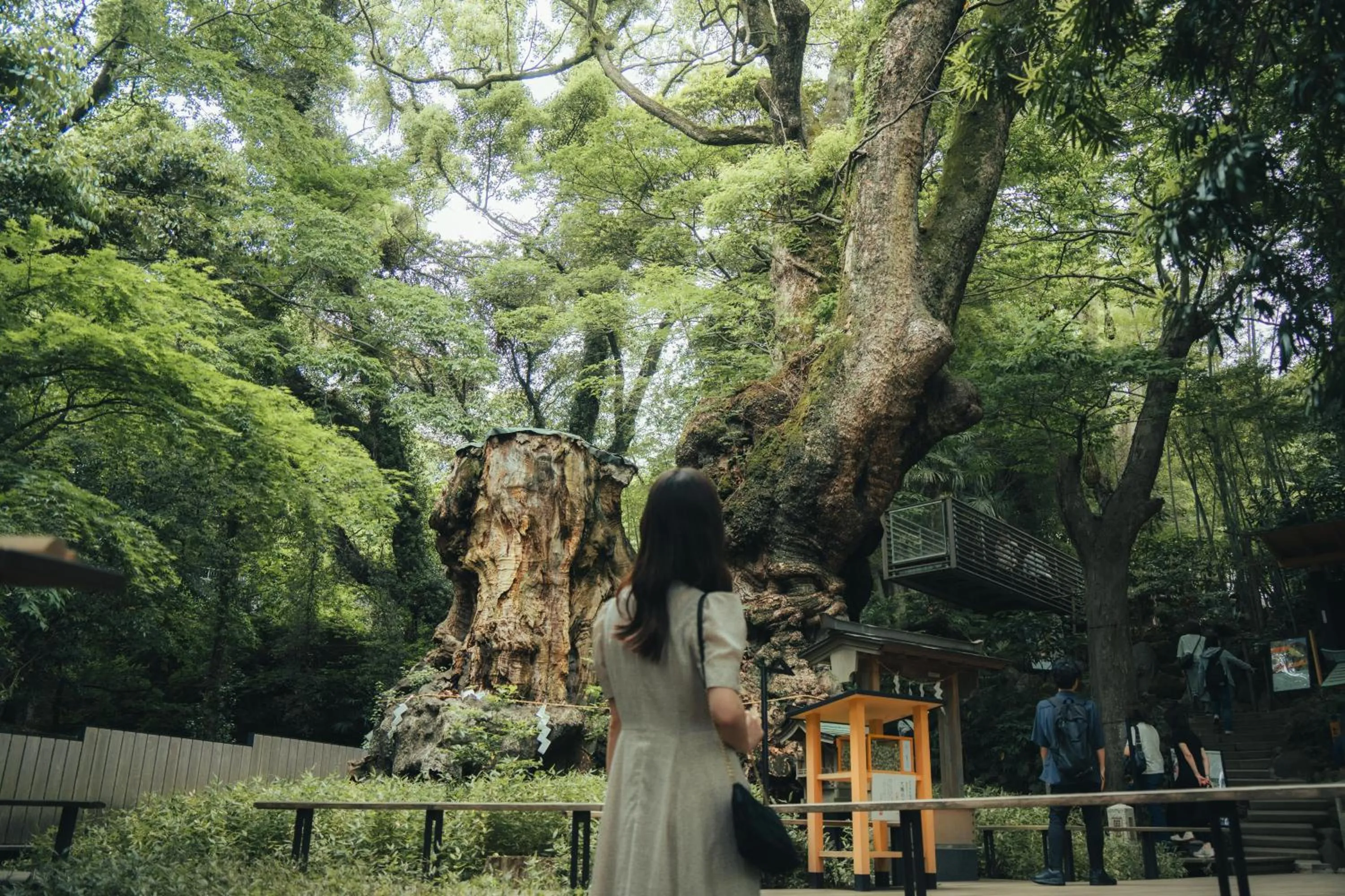 Nearby landmark in Hotel Grand Bach Atami Crescendo