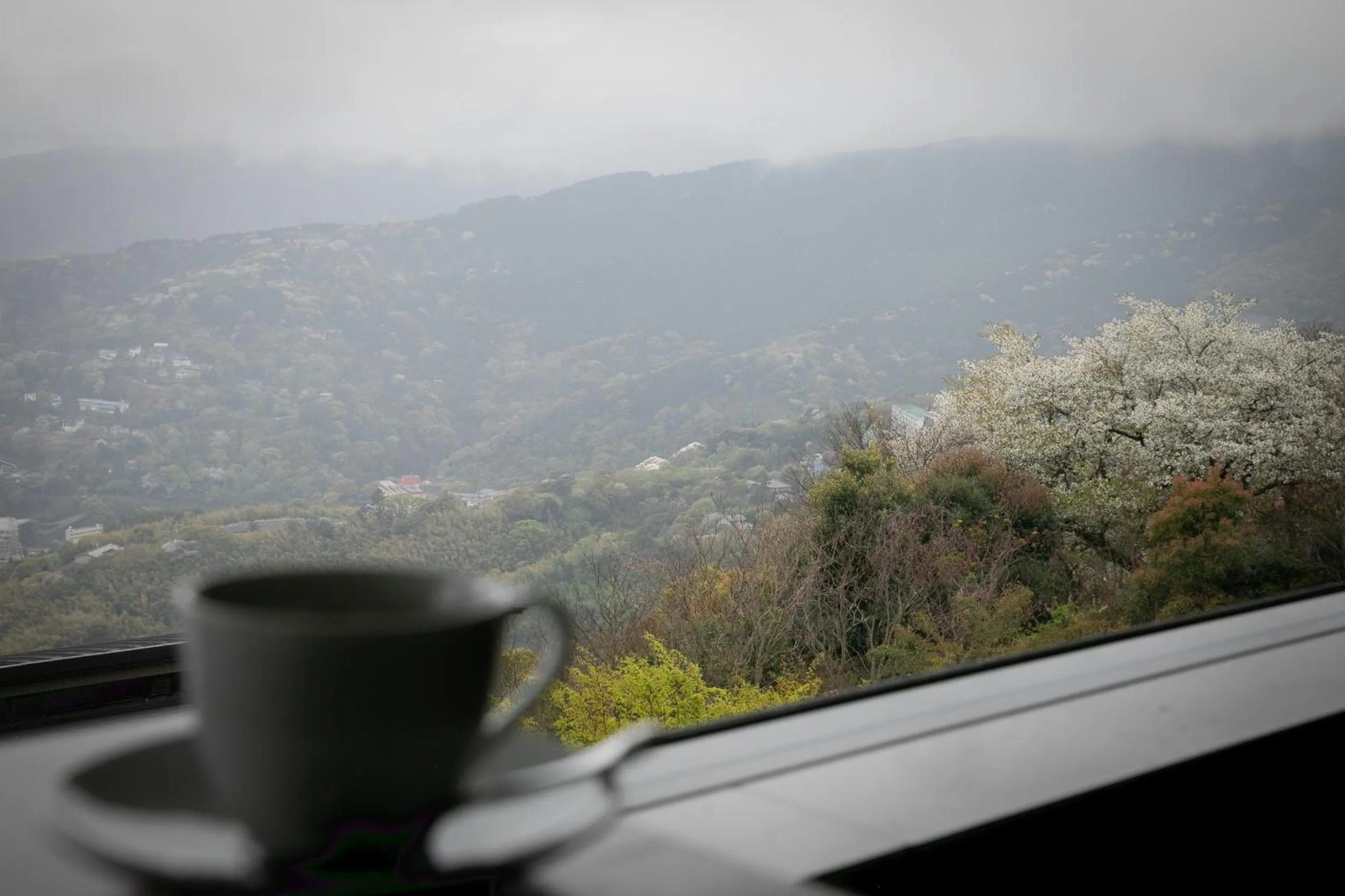 Mountain view in Hotel Grand Bach Atami Crescendo