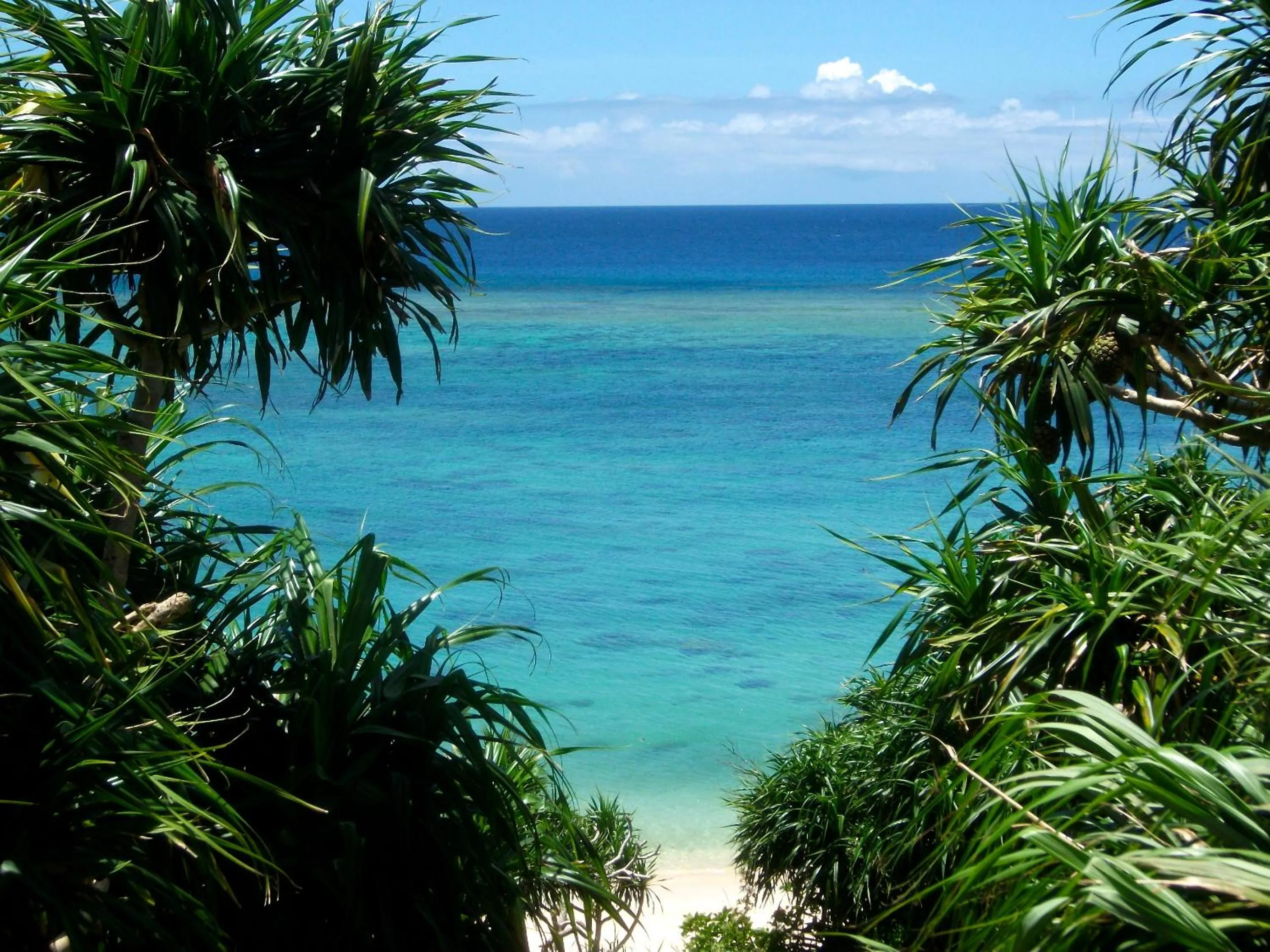 Snorkeling in Akachichi Guesthouse