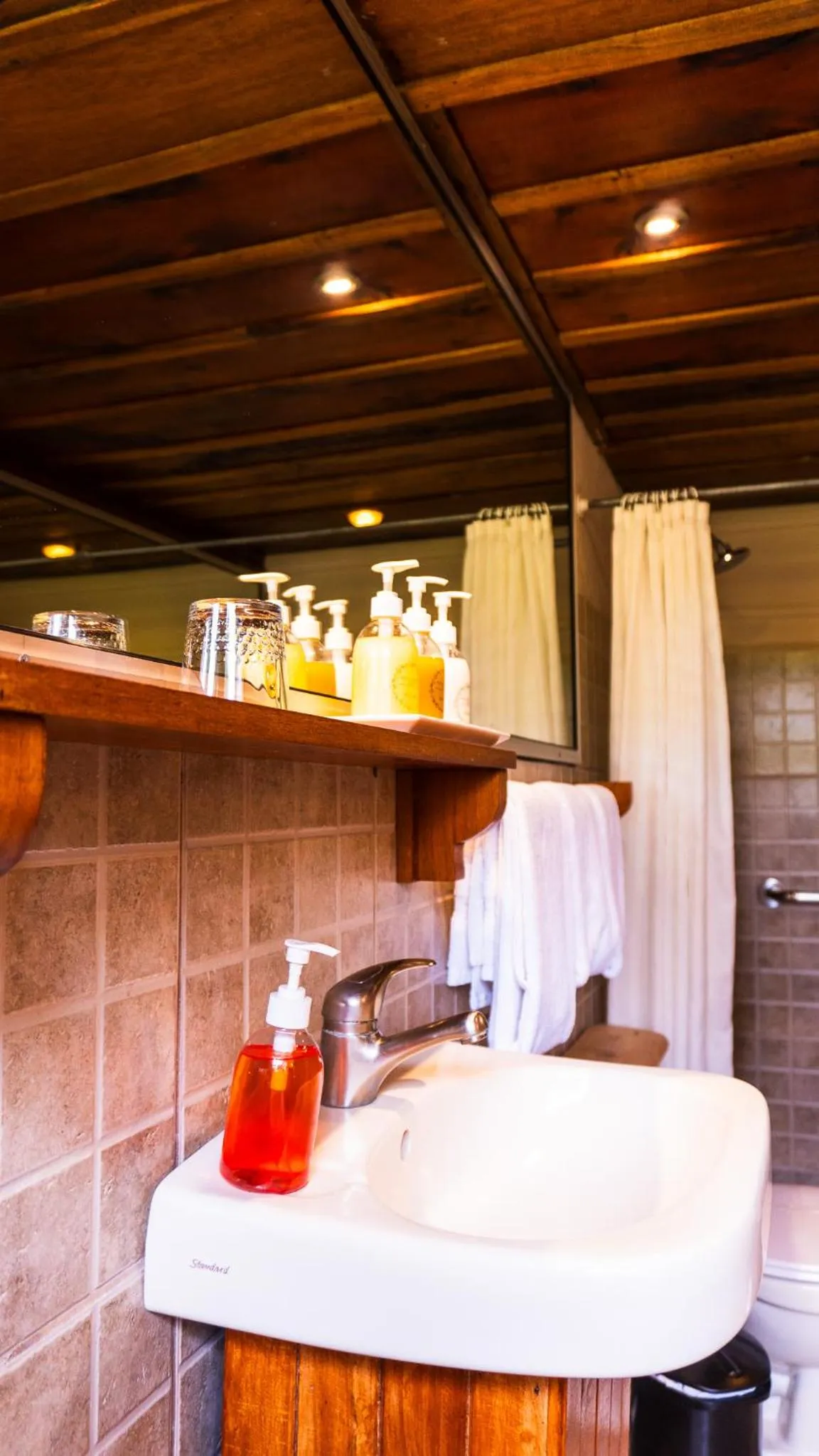 Bathroom in Poas Volcano Lodge