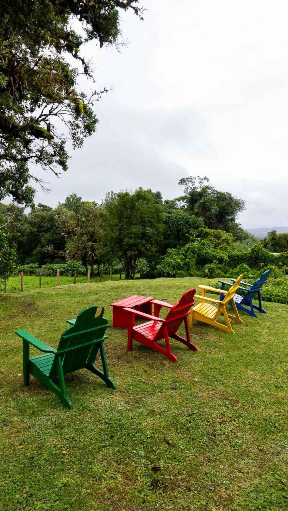 Garden in Poas Volcano Lodge