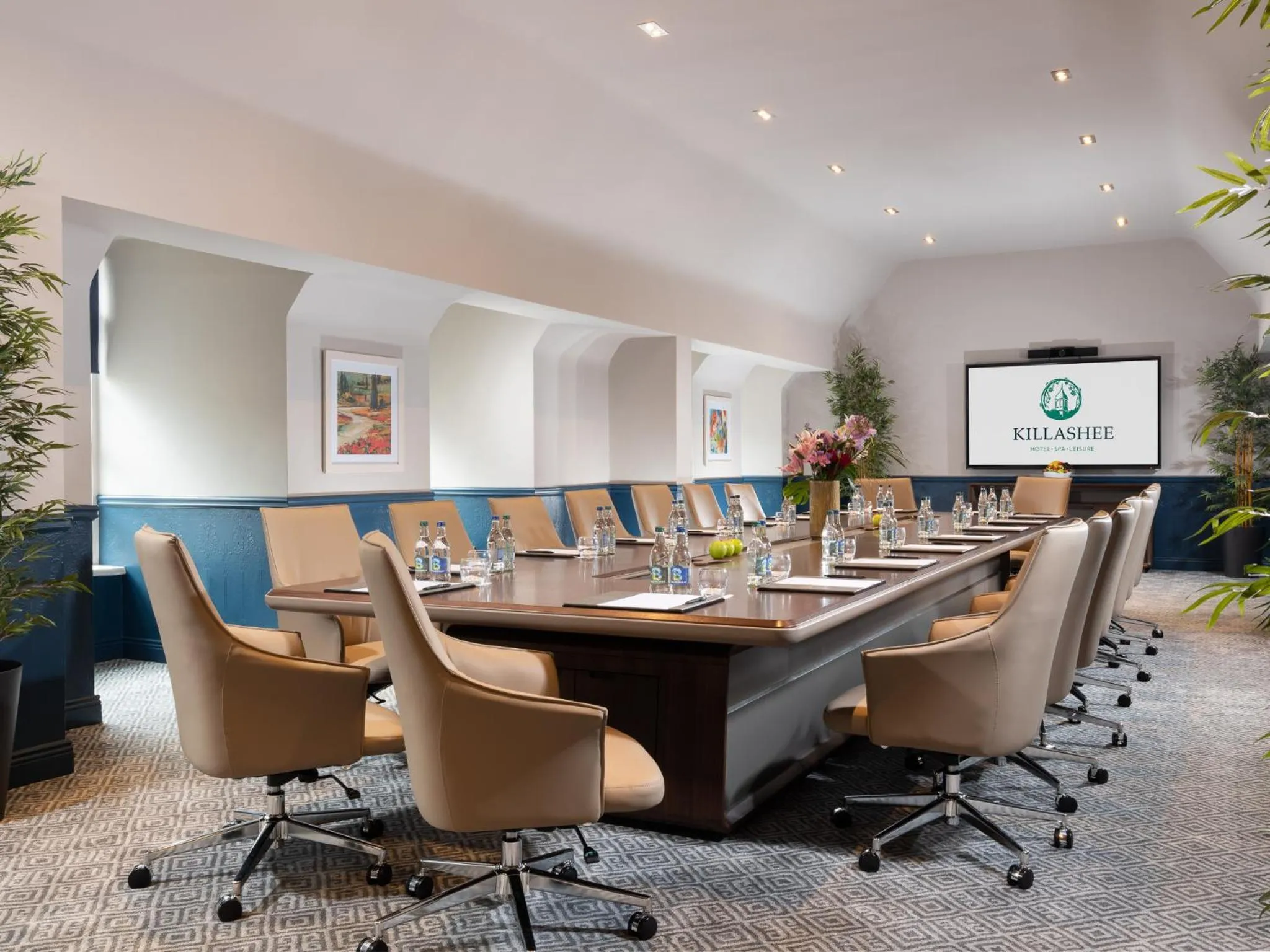 TV and multimedia in Killashee Hotel