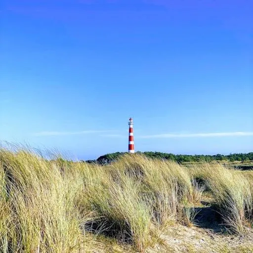 Natural landscape in Appartement De Kompaan, Resort Amelander Kaap