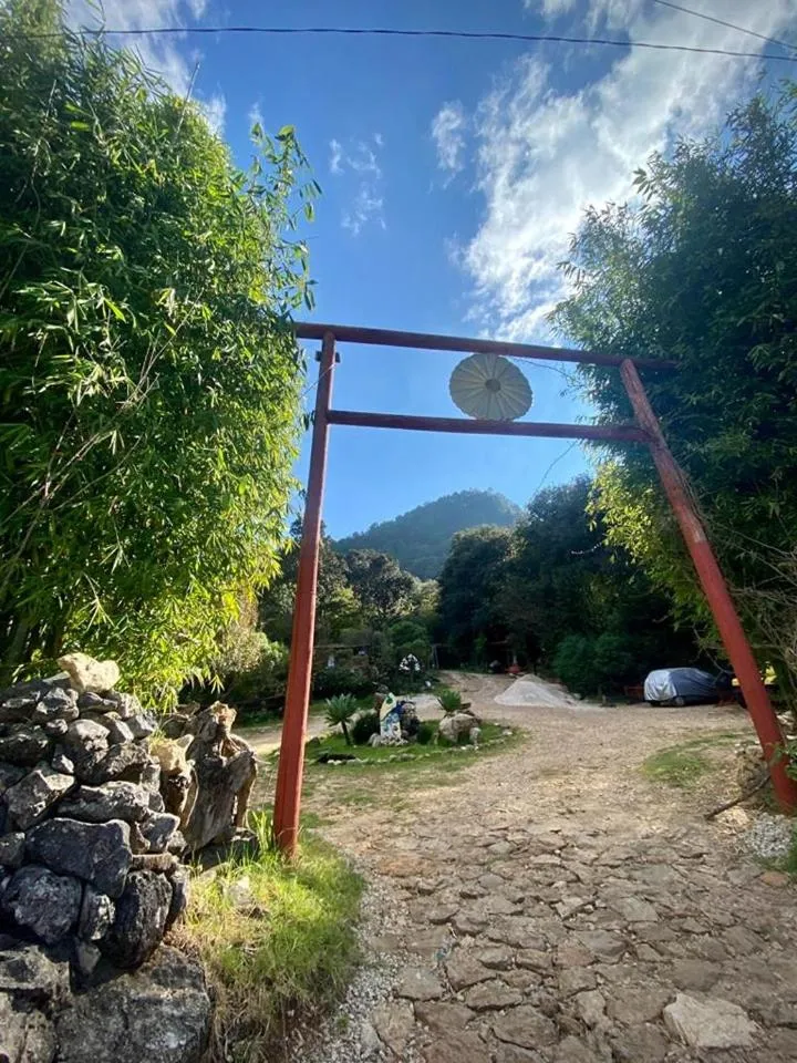 Mountain view in Nuestras Raíces Hotel - Museo - Restaurante
