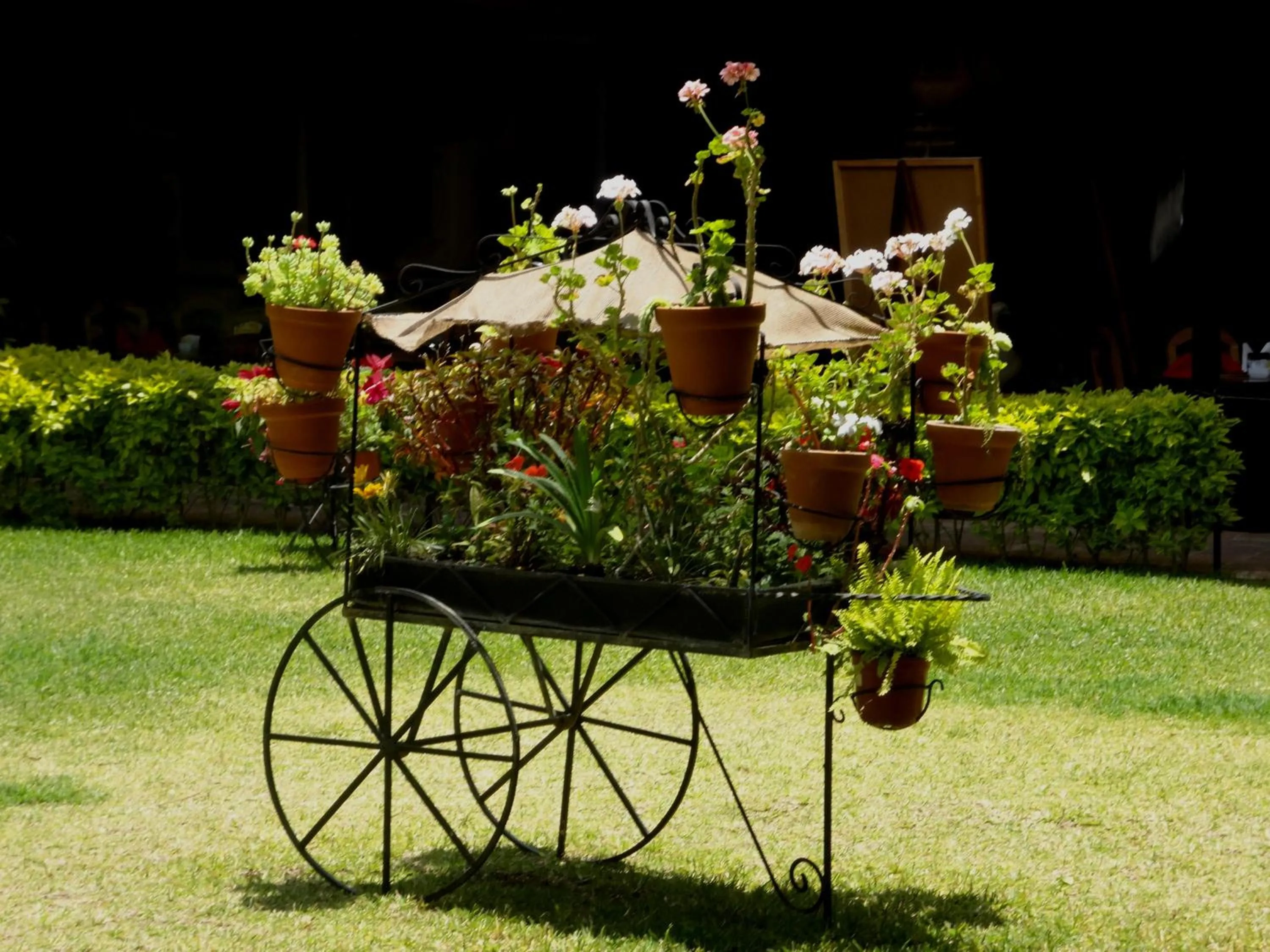 Garden in Nuestras Raíces Hotel - Museo - Restaurante