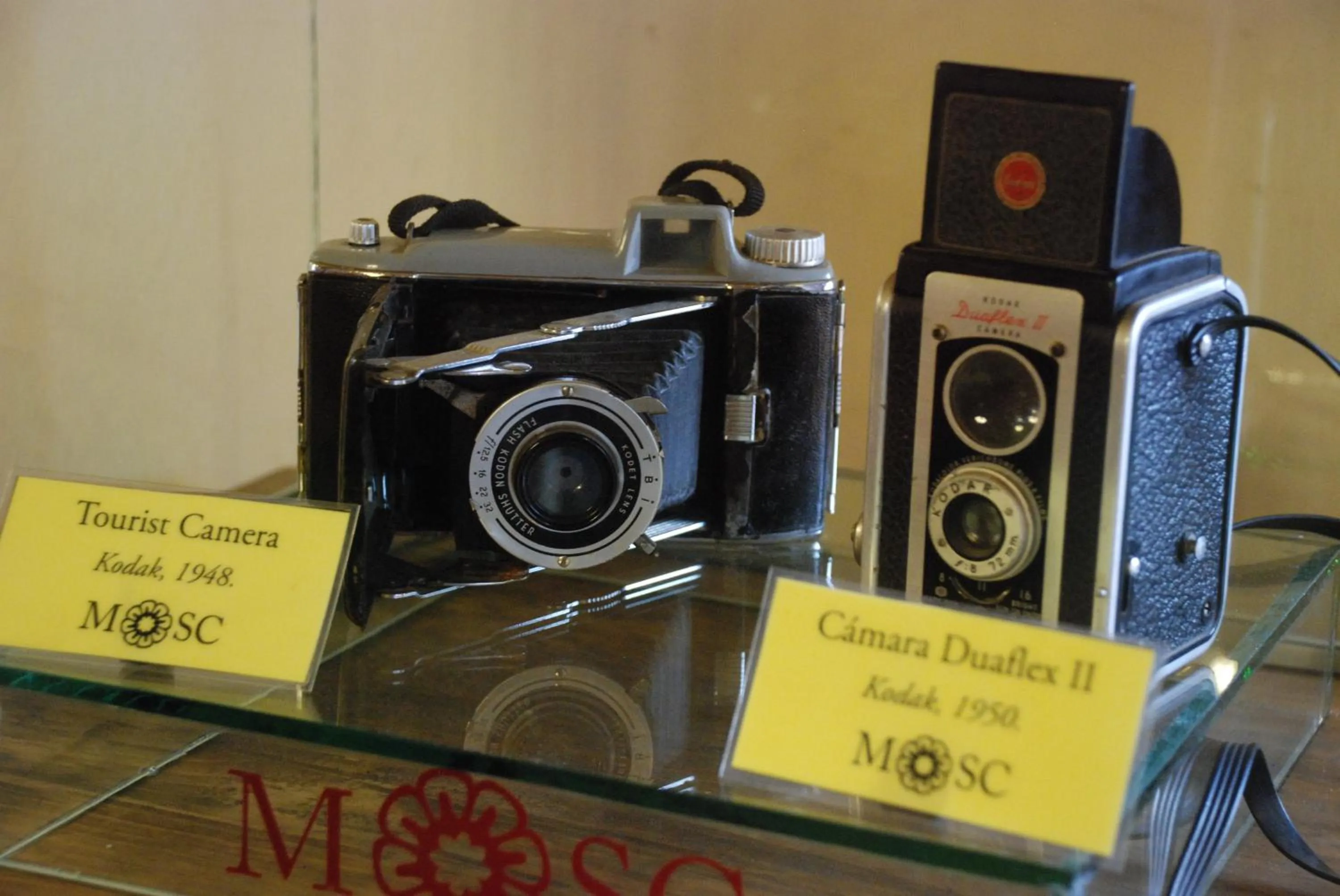 Area and facilities in Nuestras Raíces Hotel - Museo - Restaurante