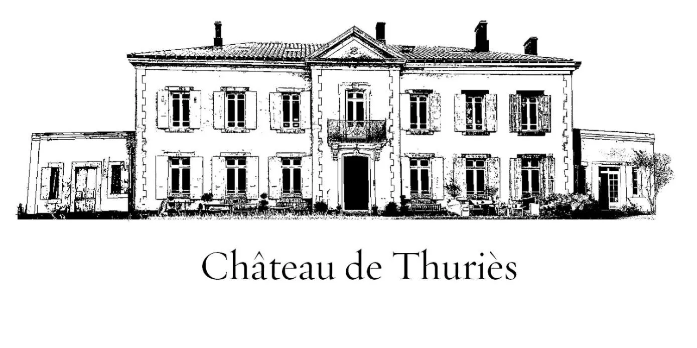 Chateau de Thuries