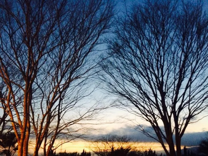 Lilac Hotels and Resort