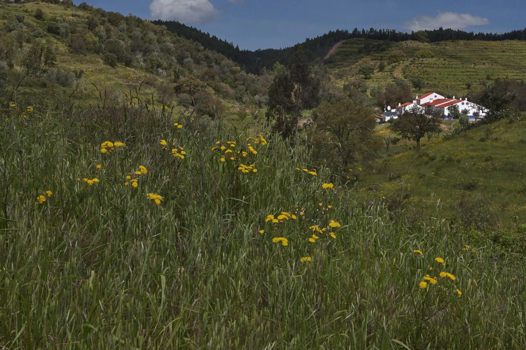 Property building in Quinta do Chocalhinho Agroturismo & SPA
