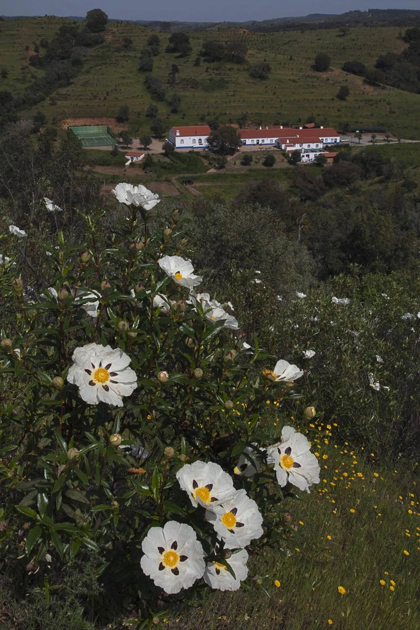 Property building in Quinta do Chocalhinho Agroturismo & SPA