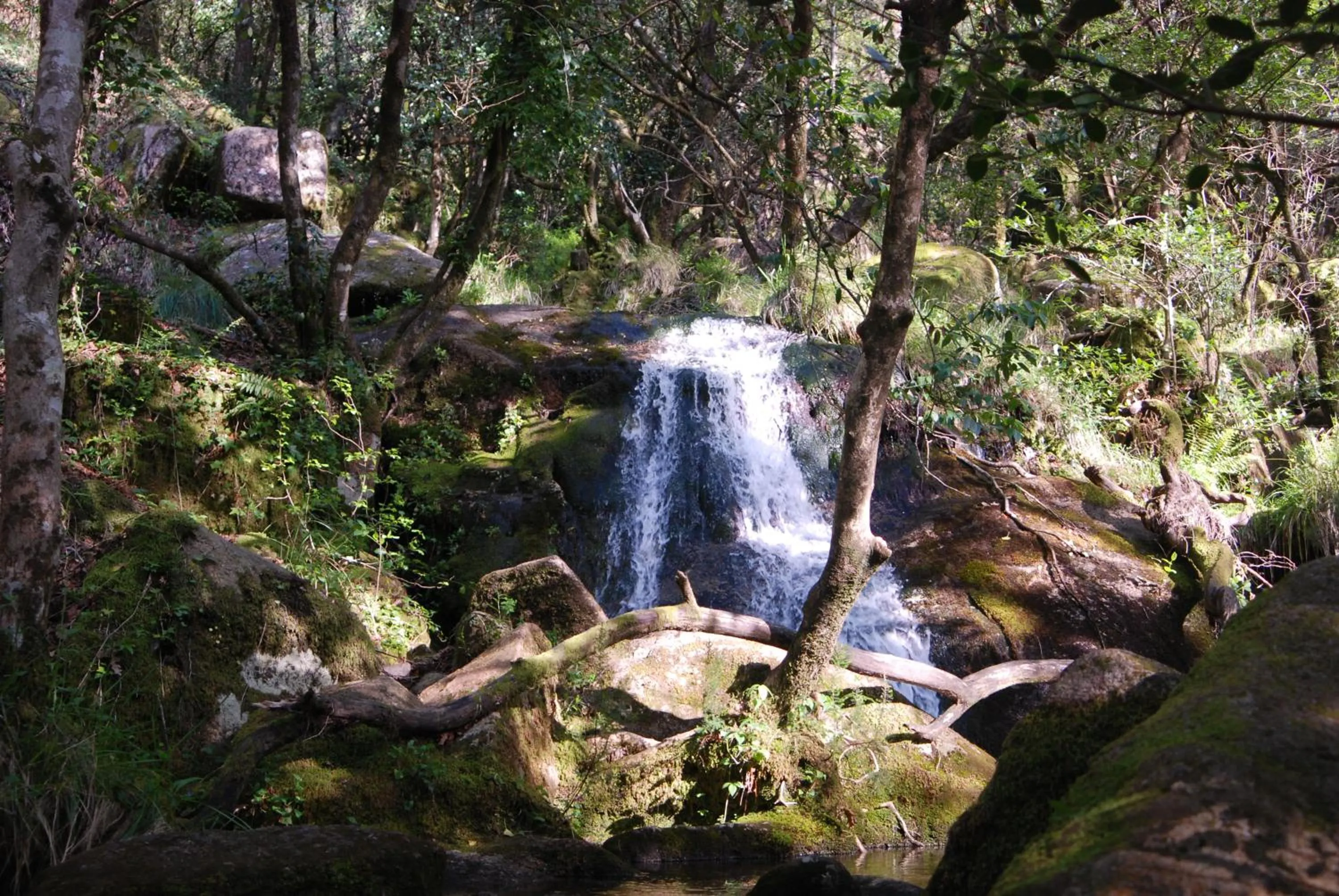 Area and facilities in Hotel Carvalho Araujo