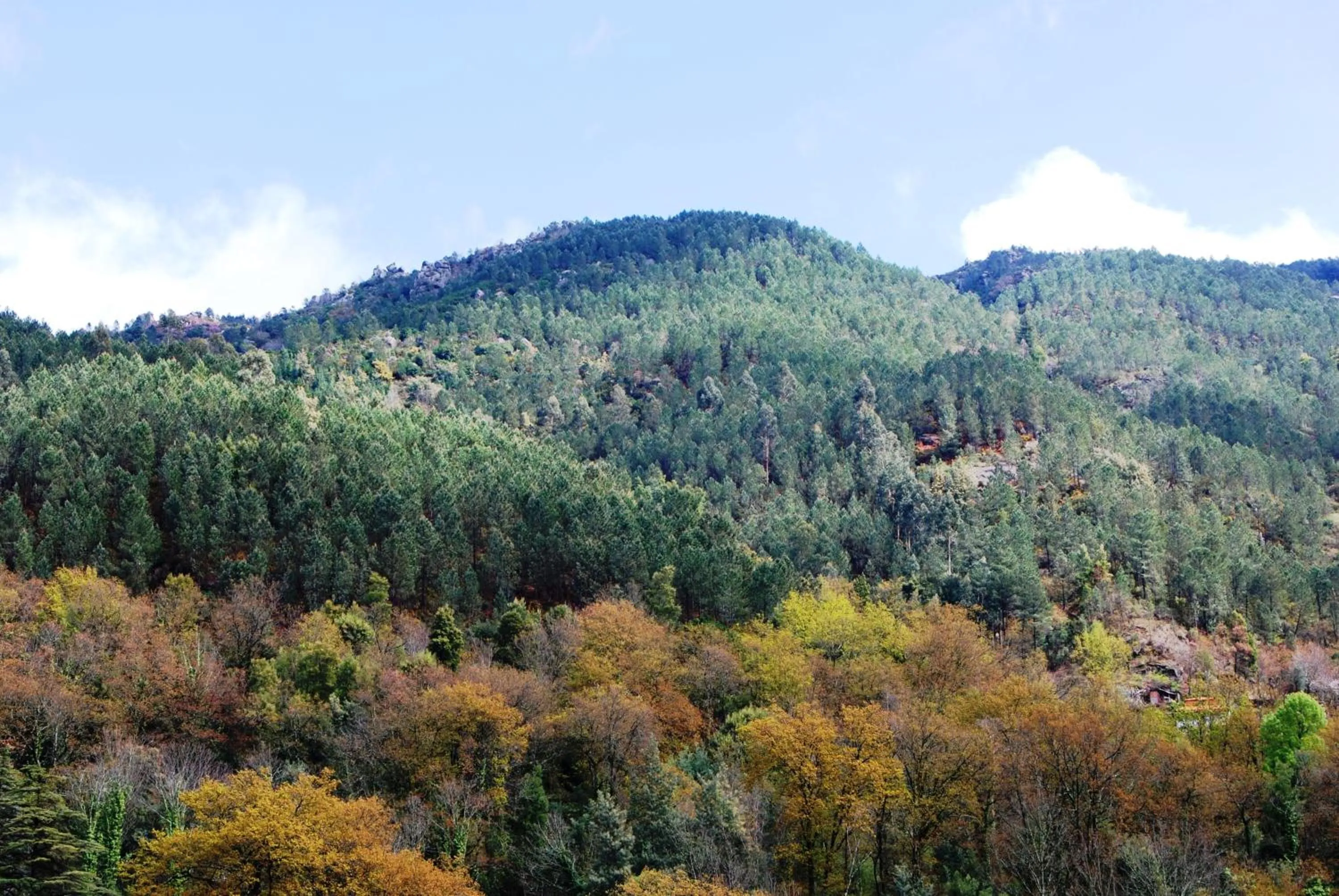 Natural landscape in Hotel Carvalho Araujo